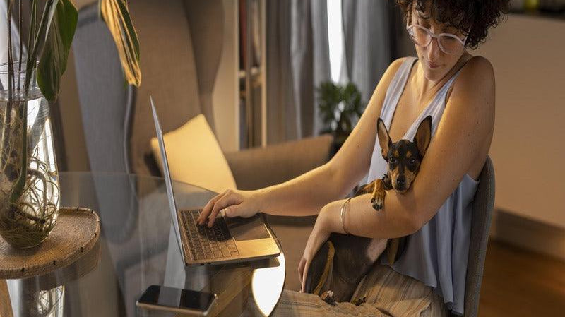 Top 5 Thoughtful Gifts for People Who Work from Home