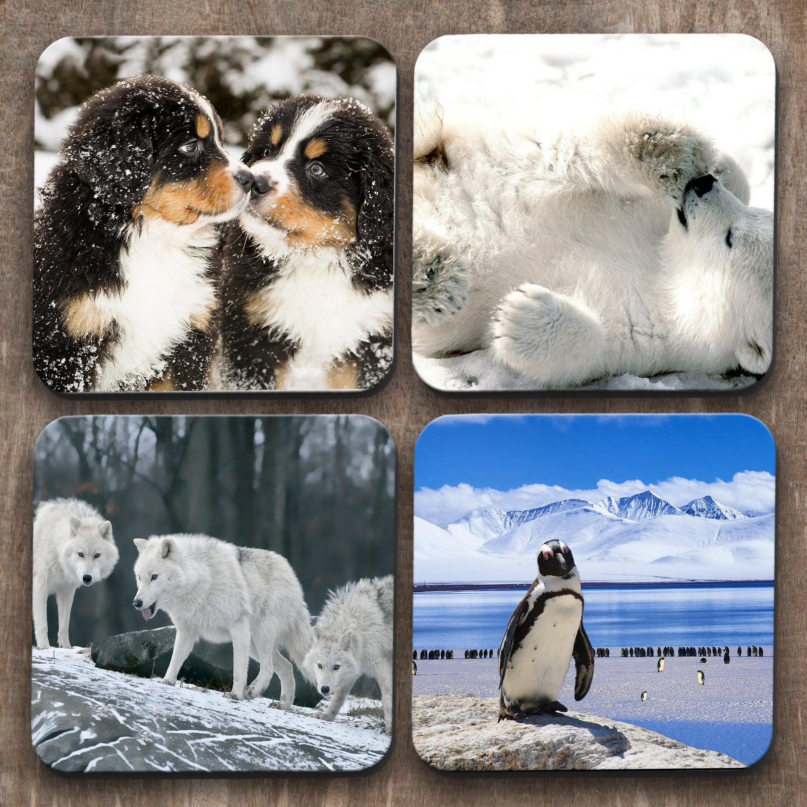Animals in the Snow x 4 Coasters C0044 Cushioned Lap Trays by Yoosh