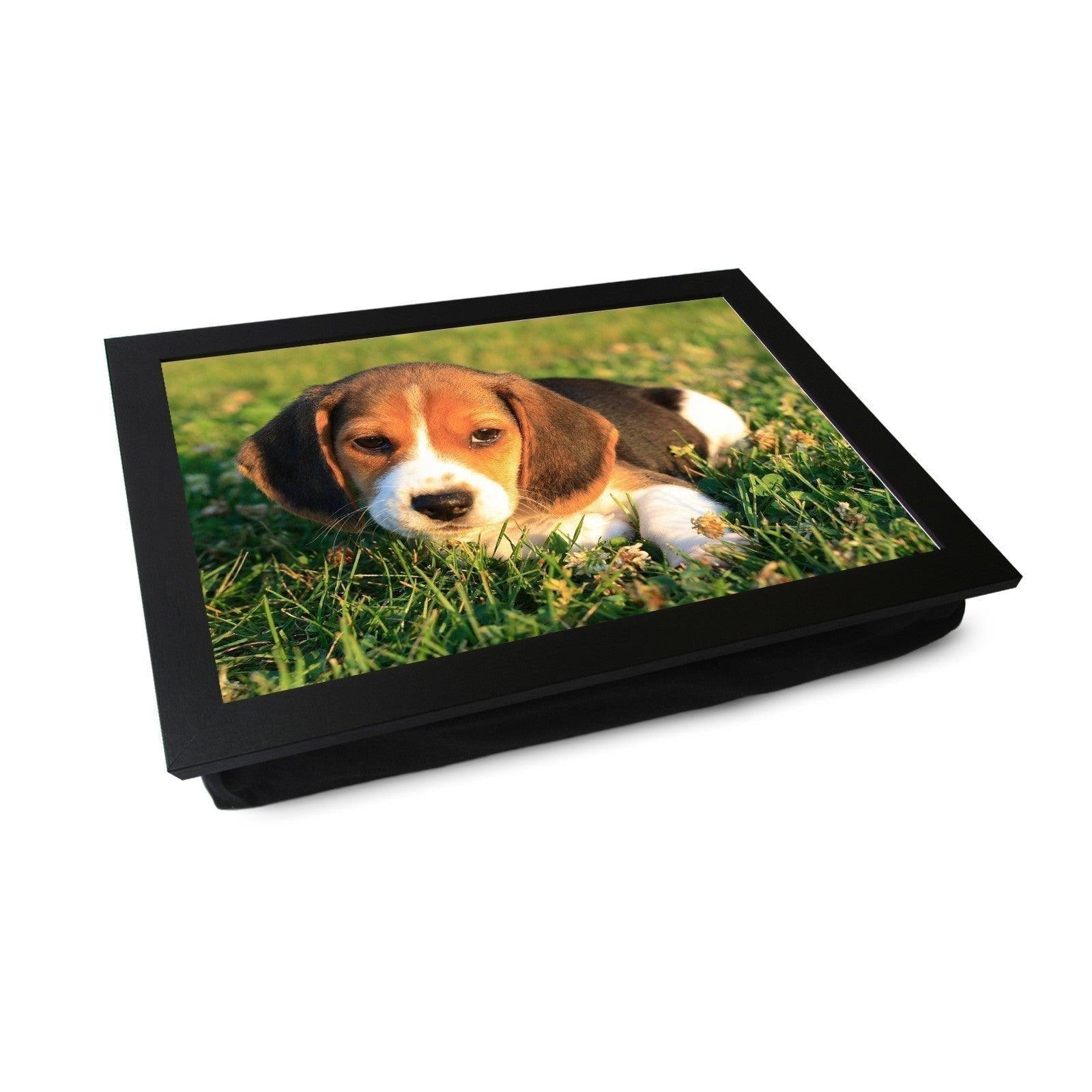 Beagle Puppy Lap Tray - L0159 Personalised Lap Trays