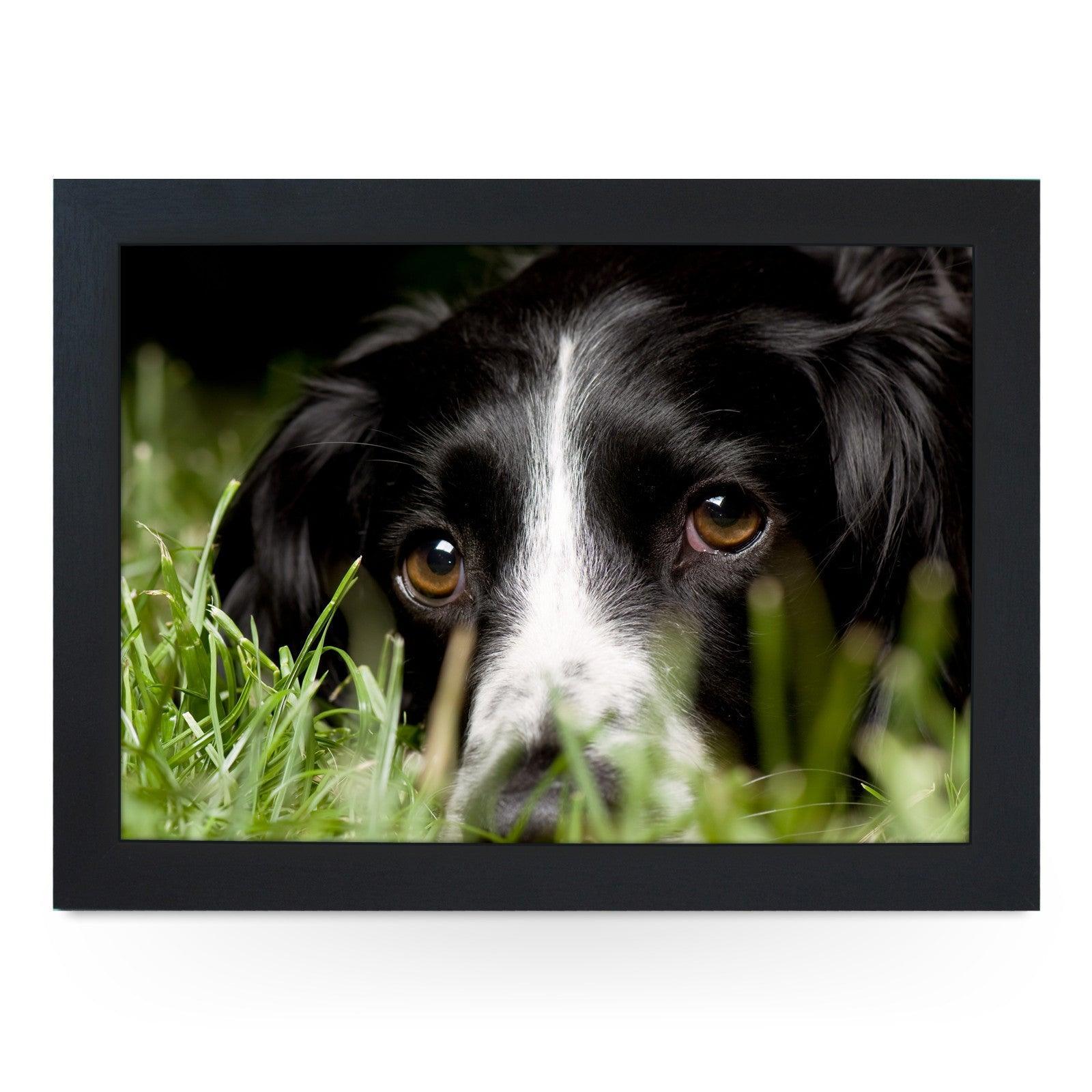 Black Cocker Spaniel Dog Lap Tray - L0584 Personalised Lap Trays
