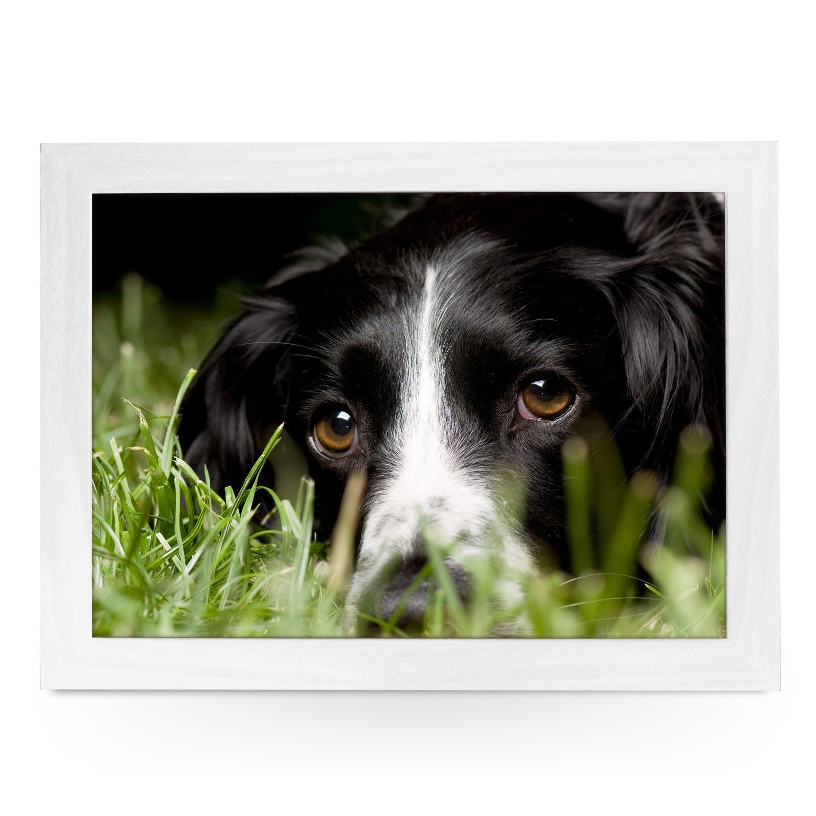 Black Cocker Spaniel Dog Lap Tray - L0584 Personalised Lap Trays