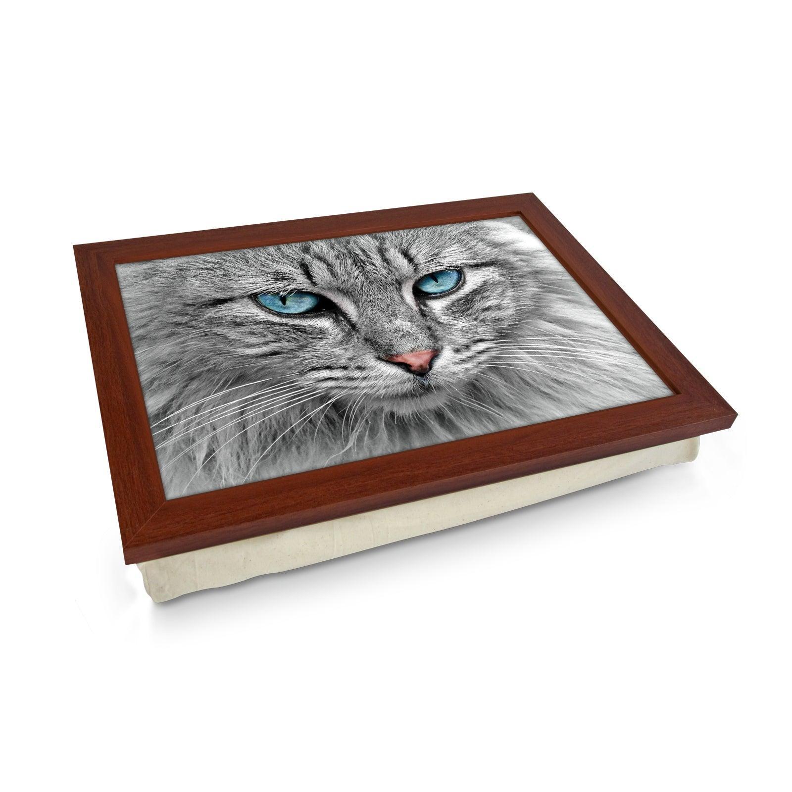 Blue Eyed Grey Tabby Cat Lap Tray Lap Tray - L1191 - Cushioned Lap Trays by Yoosh