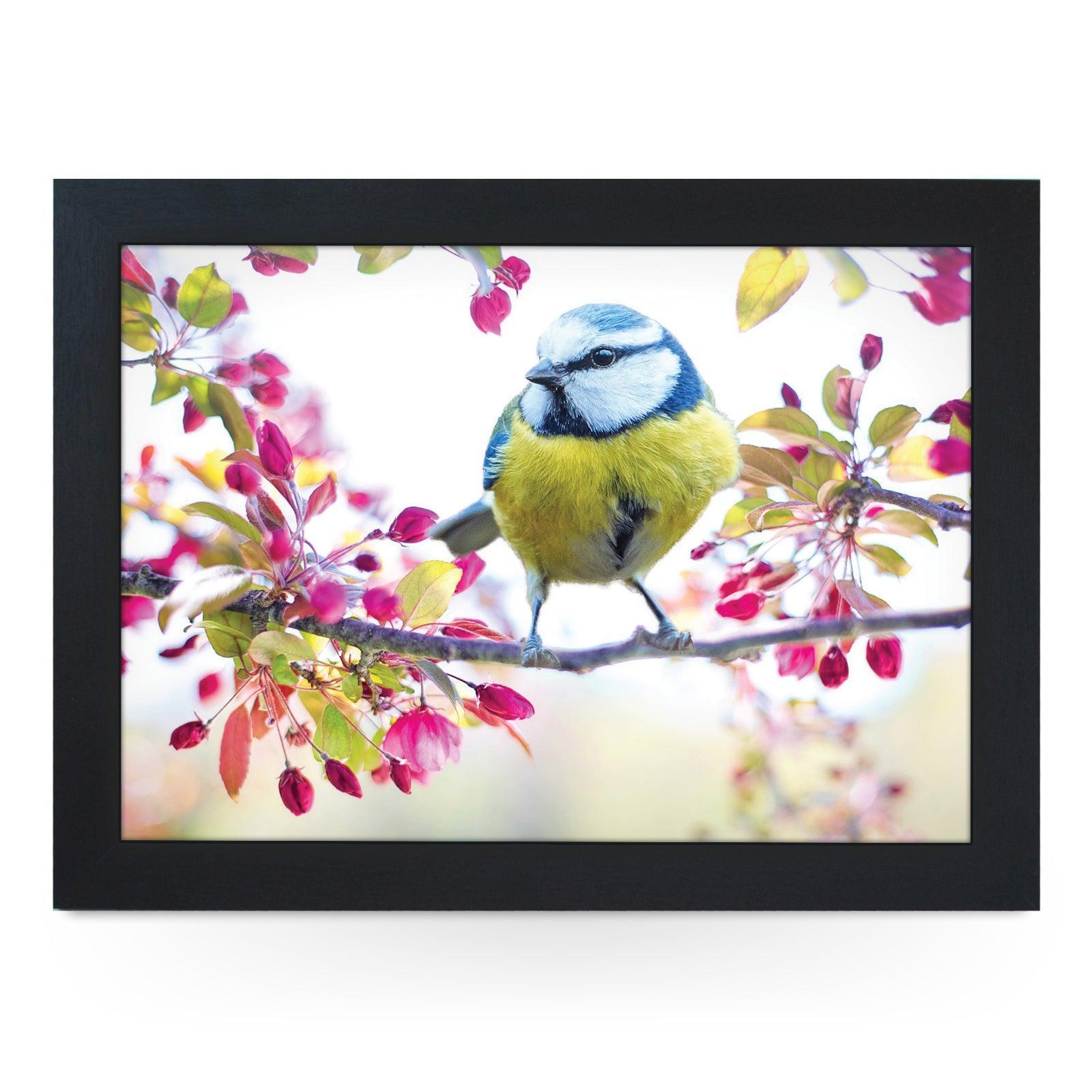 Blue Tit Bird On A Blossoming Spring Branch Lap Tray - L1189 - Cushioned Lap Trays by Yoosh