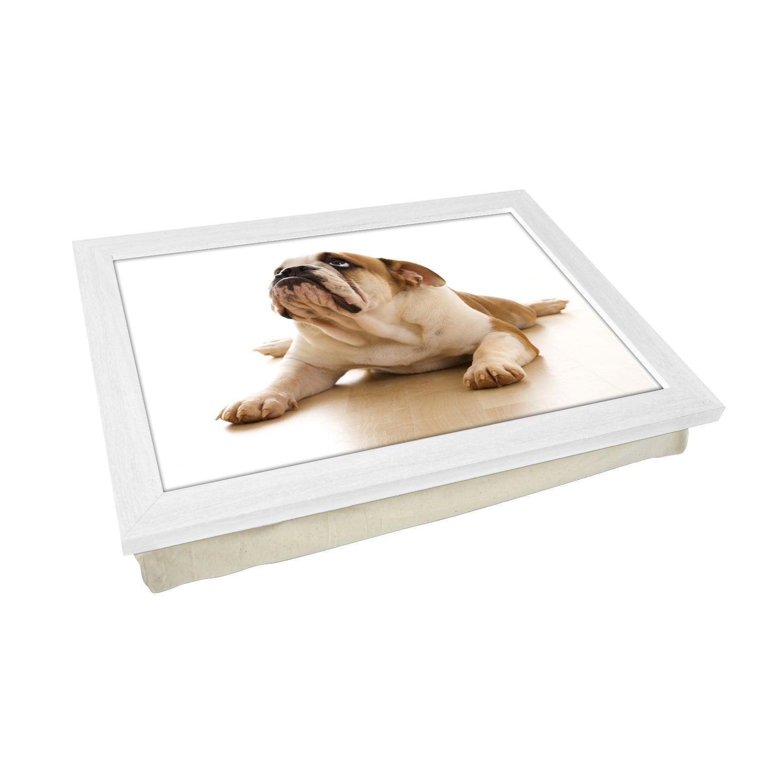 British Bull Dog Lap Tray - L0097 Personalised Lap Trays