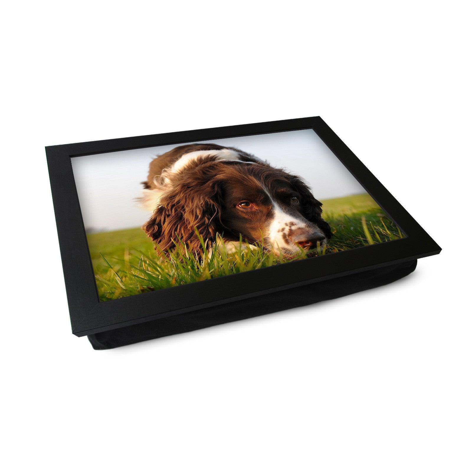 Brown Cocker Spaniel Dog Lap Tray - L0583 Personalised Lap Trays