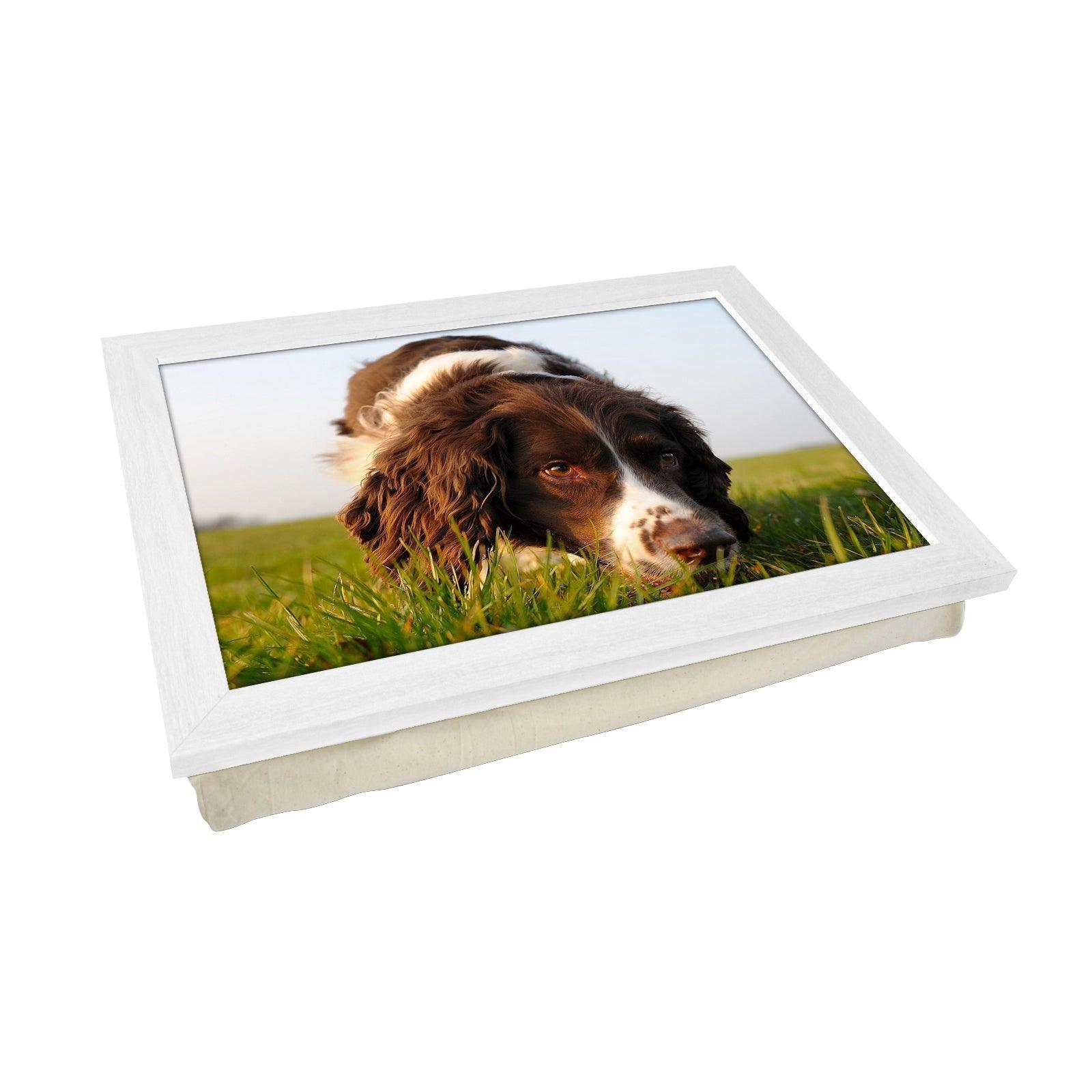 Brown Cocker Spaniel Dog Lap Tray - L0583 Personalised Lap Trays