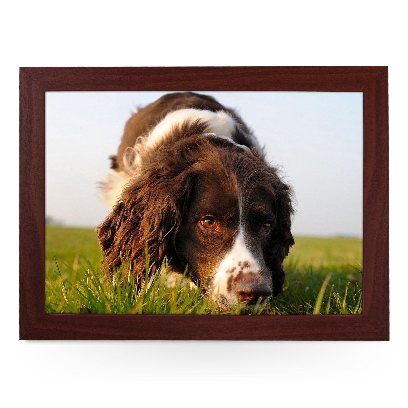 Brown Cocker Spaniel Dog Lap Tray - L0583 Personalised Lap Trays