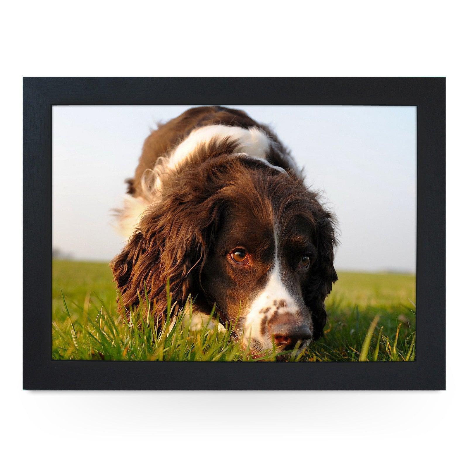 Brown Cocker Spaniel Dog Lap Tray - L0583 Personalised Lap Trays