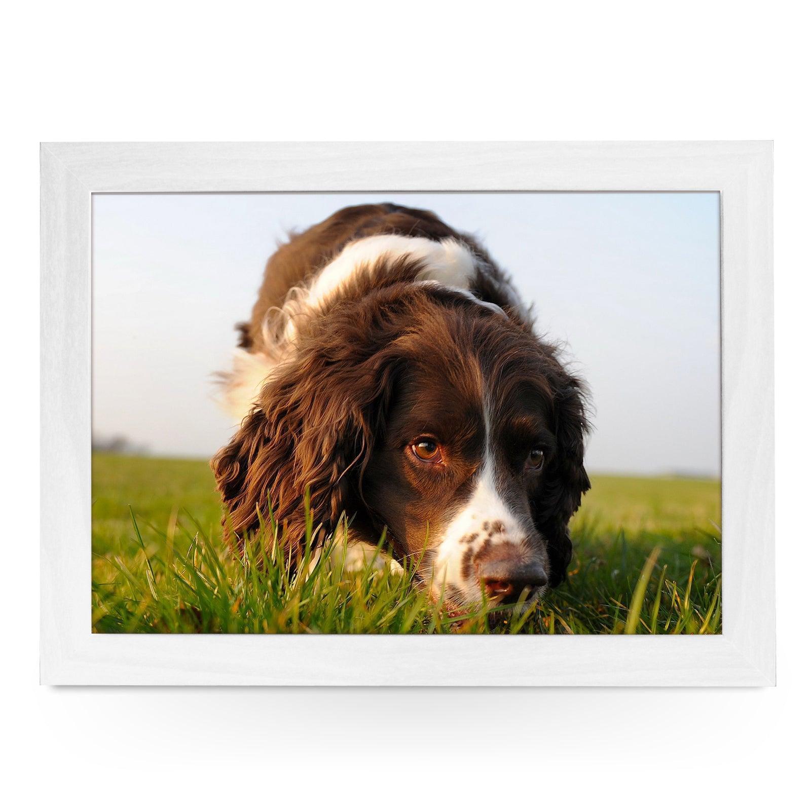 Brown Cocker Spaniel Dog Lap Tray - L0583 Personalised Lap Trays