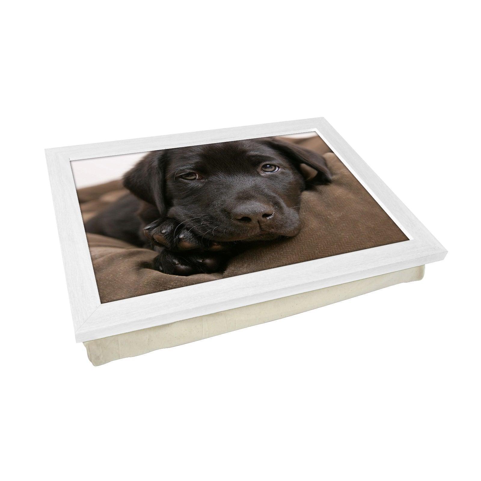 Chocolate Labrador Puppy Lap Tray - L0587 Personalised Lap Trays