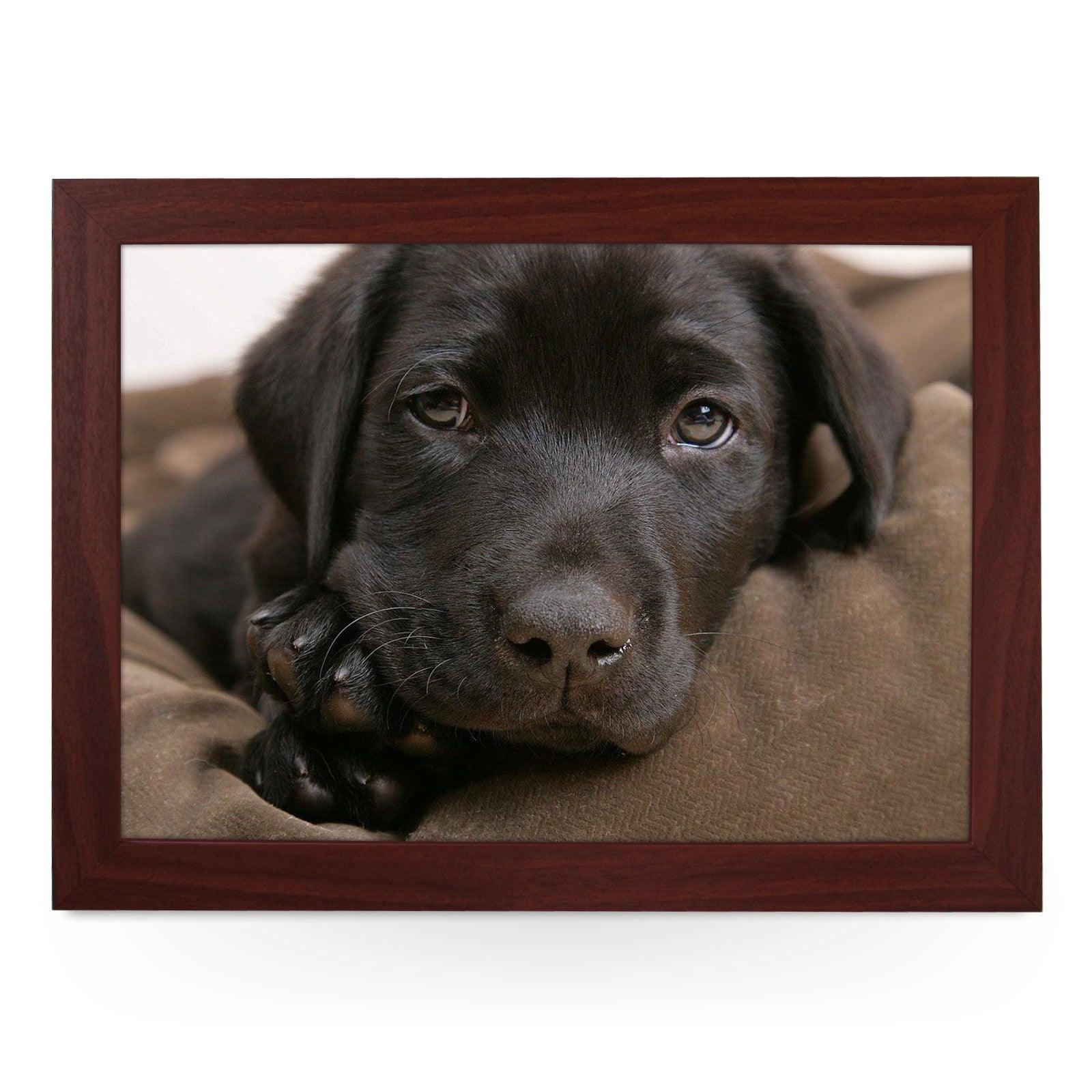 Chocolate Labrador Puppy Lap Tray - L0587 Personalised Lap Trays