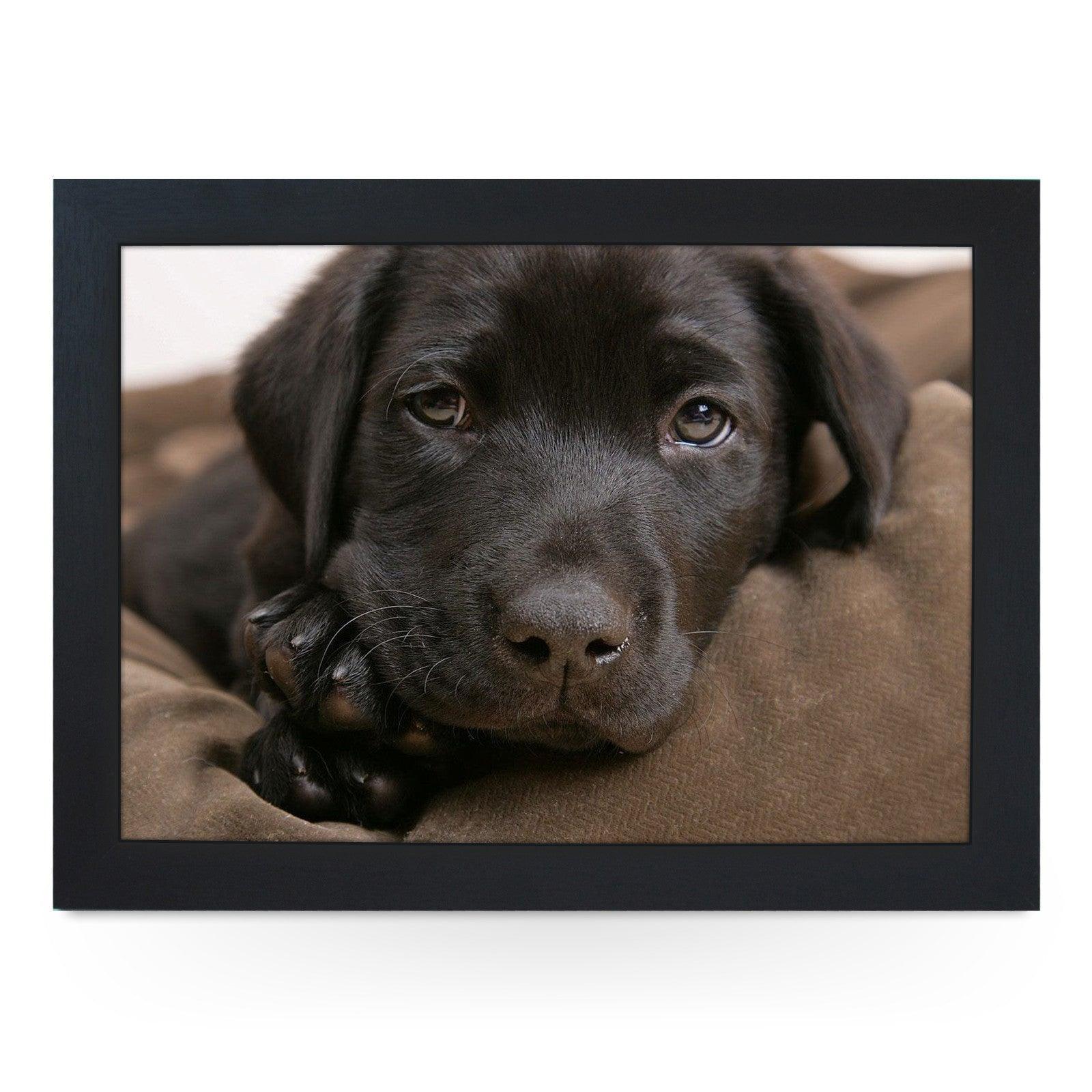 Chocolate Labrador Puppy Lap Tray - L0587 Personalised Lap Trays