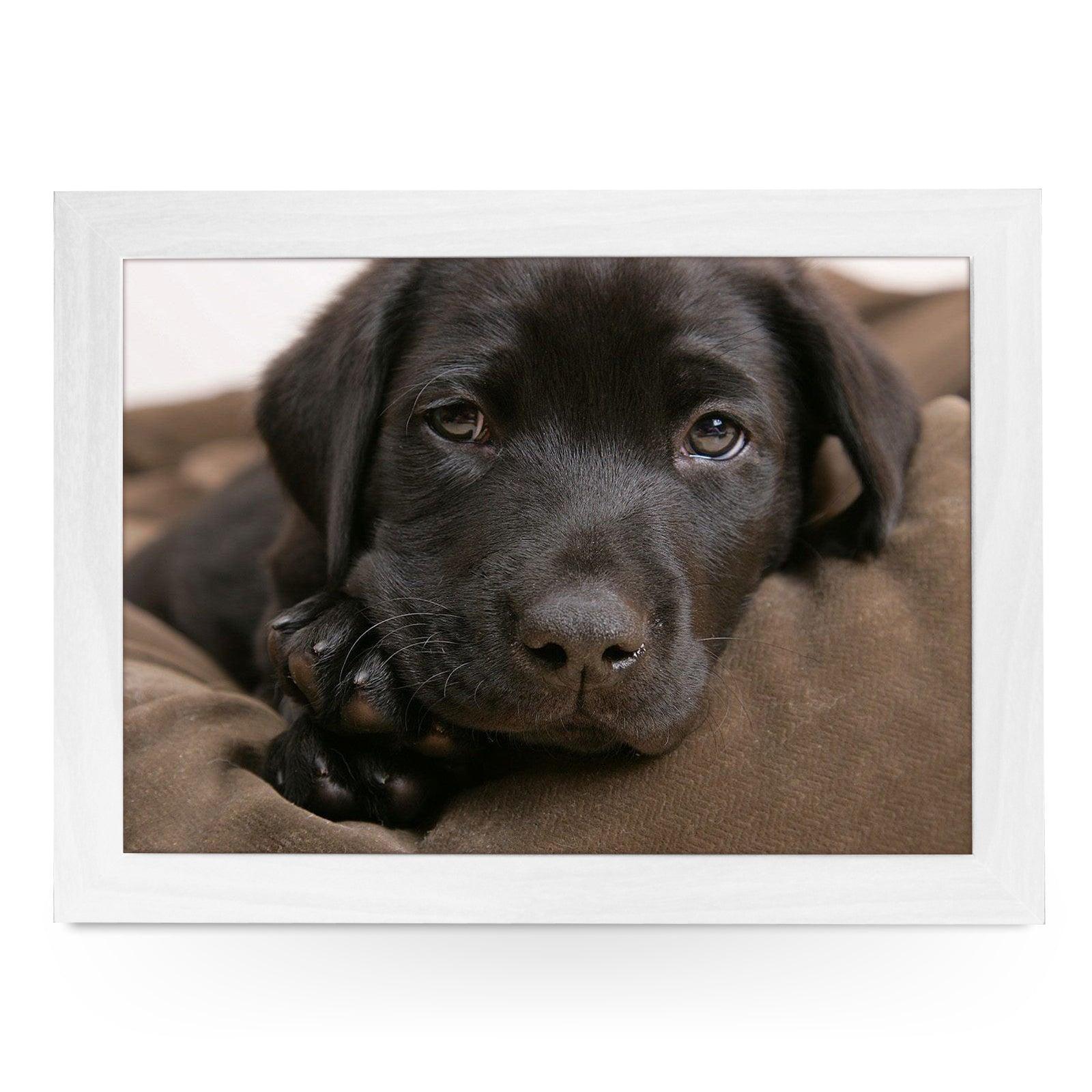 Chocolate Labrador Puppy Lap Tray - L0587 Personalised Lap Trays