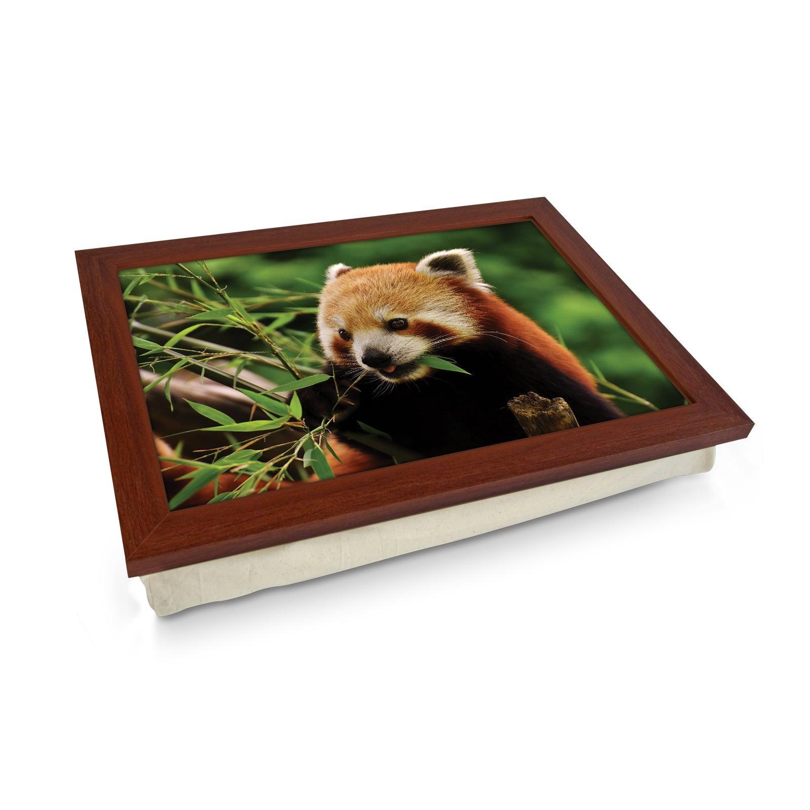 Chomping Red Panda Lap Tray - L1184 - Cushioned Lap Trays by Yoosh