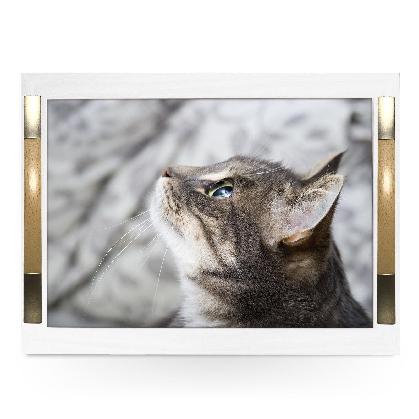 Curious Grey Cat Looking Up Serving Tray - 0177 - Cushioned Lap Trays by Yoosh