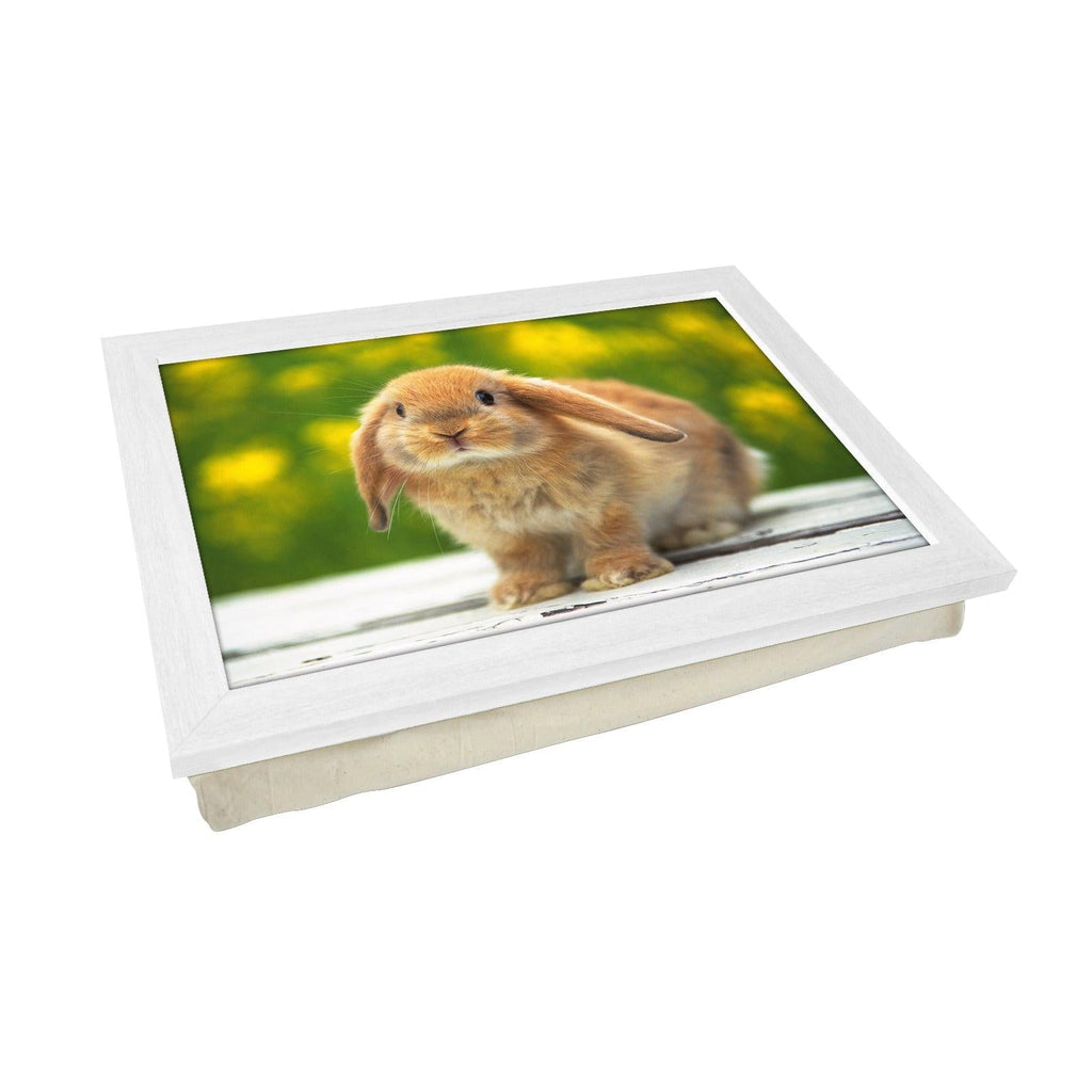 Cute Bunny Rabbit Lap Tray - L0480 Personalised Lap Trays