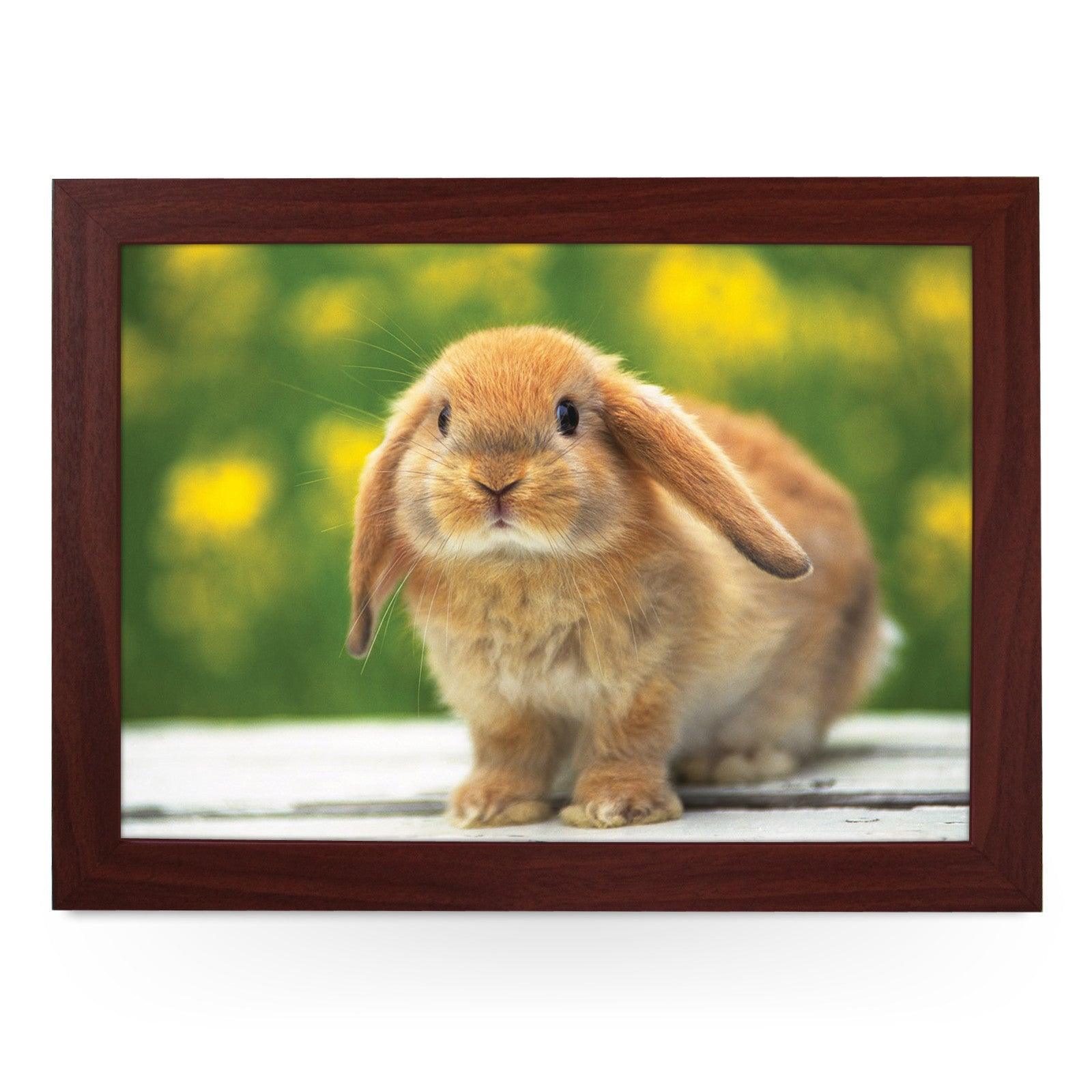Cute Bunny Rabbit Lap Tray - L0480 Personalised Lap Trays