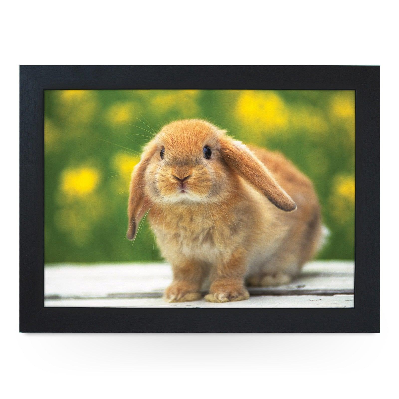 Cute Bunny Rabbit Lap Tray - L0480 Personalised Lap Trays
