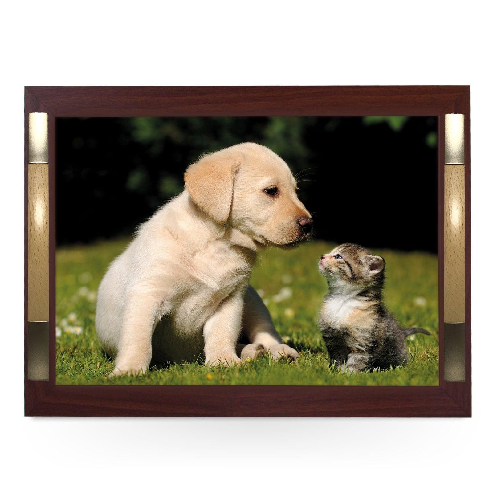 Cute Kitten and Puppy Are Best Friends Serving Tray - 0219 - Cushioned Lap Trays by Yoosh