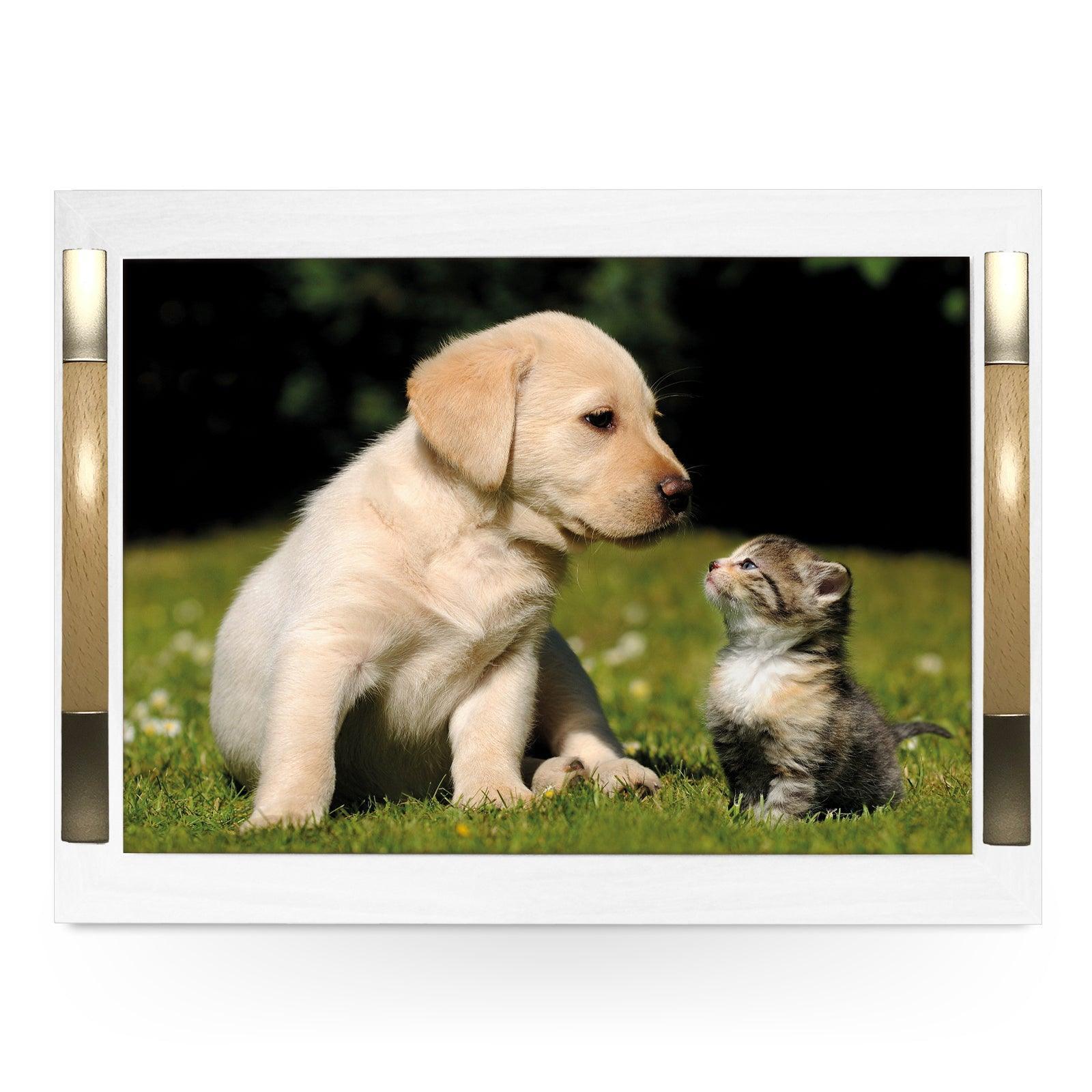 Cute Kitten and Puppy Are Best Friends Serving Tray - 0219 - Cushioned Lap Trays by Yoosh