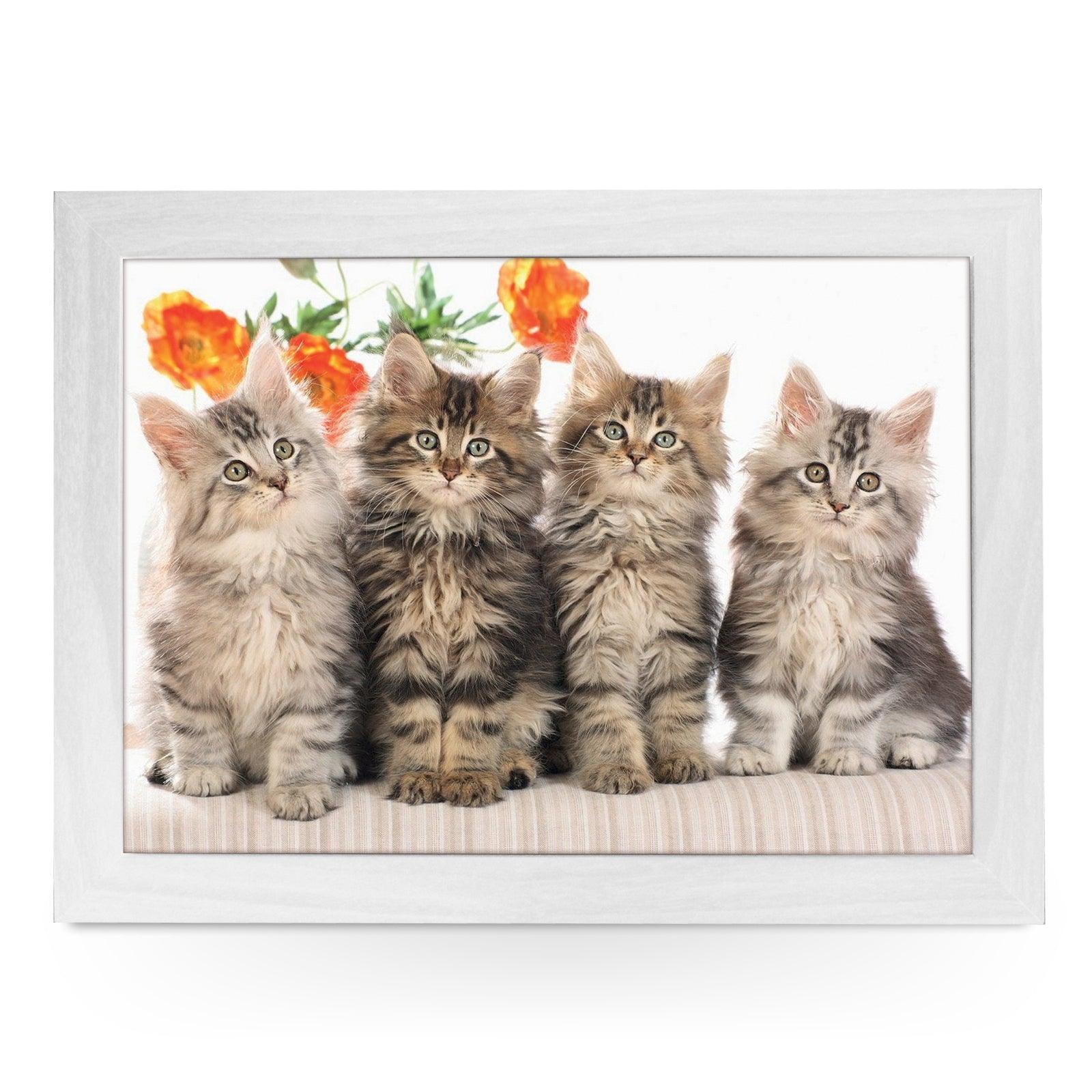 Cute Long Haired Kittens Lap Tray - L0400 Personalised Lap Trays