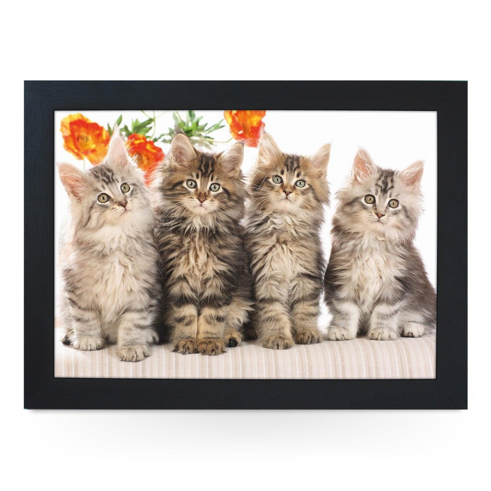 Cute Long Haired Kittens Lap Tray - L0400 Personalised Lap Trays