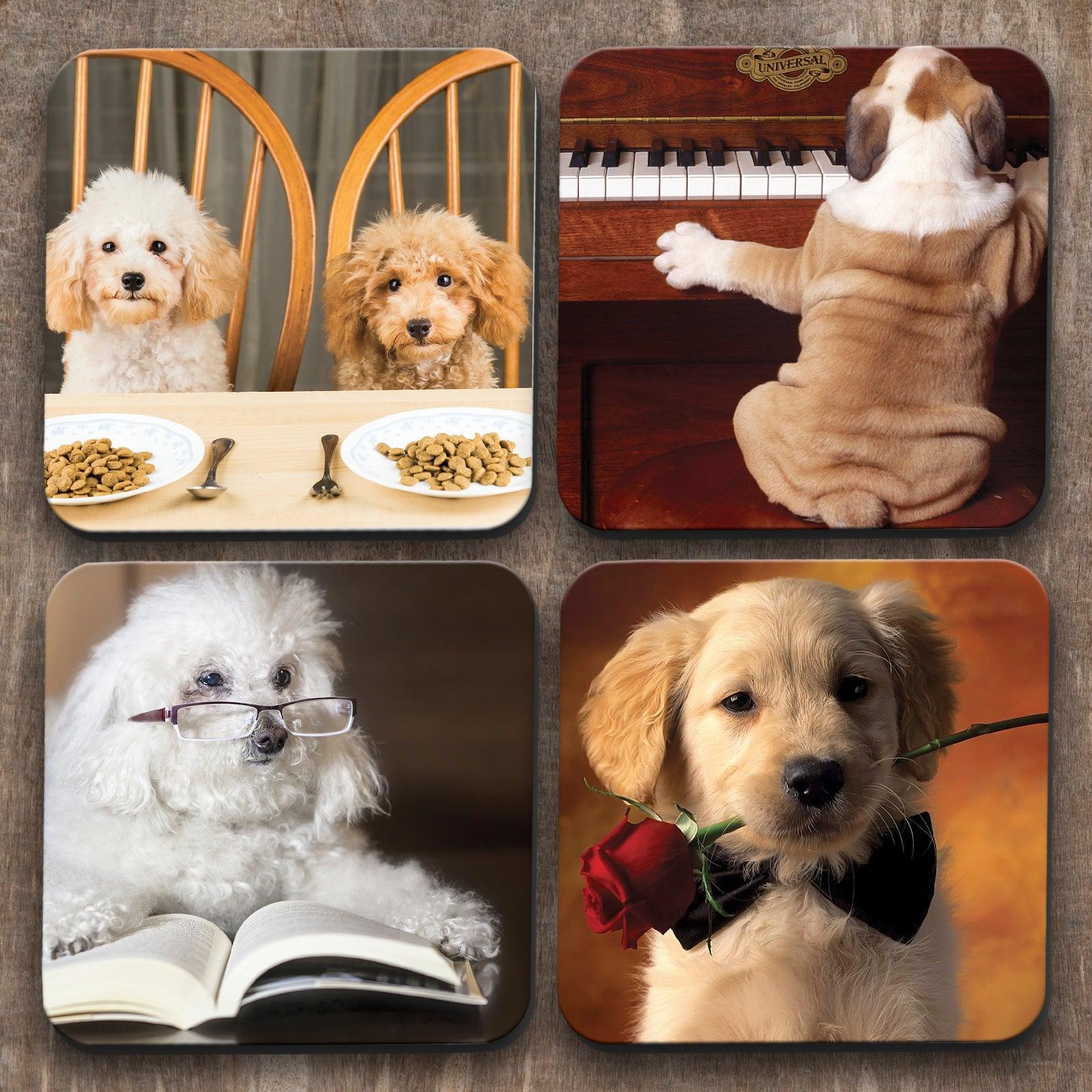 Dogs x 4 Coasters C0041 Cushioned Lap Trays by Yoosh