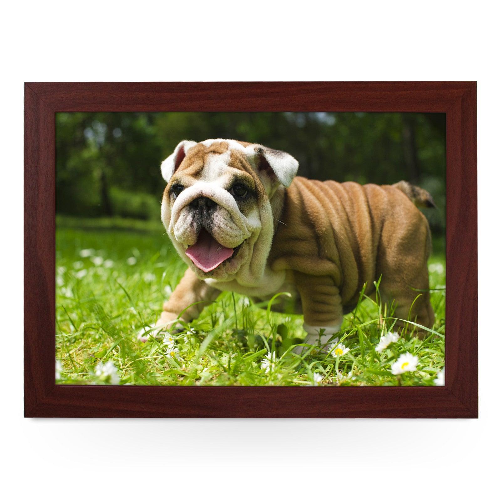 English Bulldog Puppy Lap Tray - L0142 Personalised Lap Trays