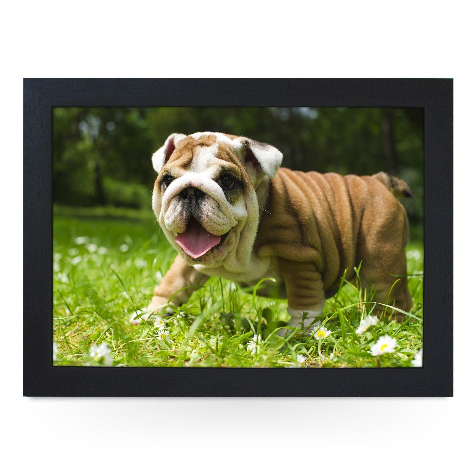 English Bulldog Puppy Lap Tray - L0142 Personalised Lap Trays