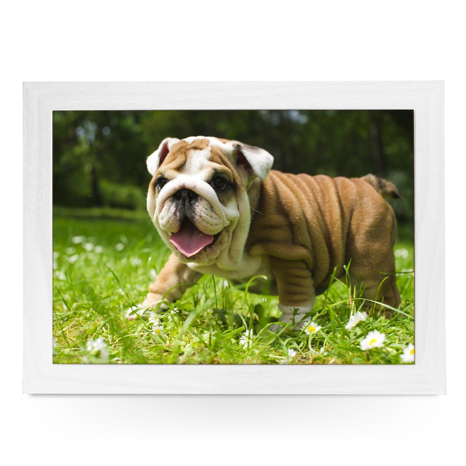 English Bulldog Puppy Lap Tray - L0142 Personalised Lap Trays