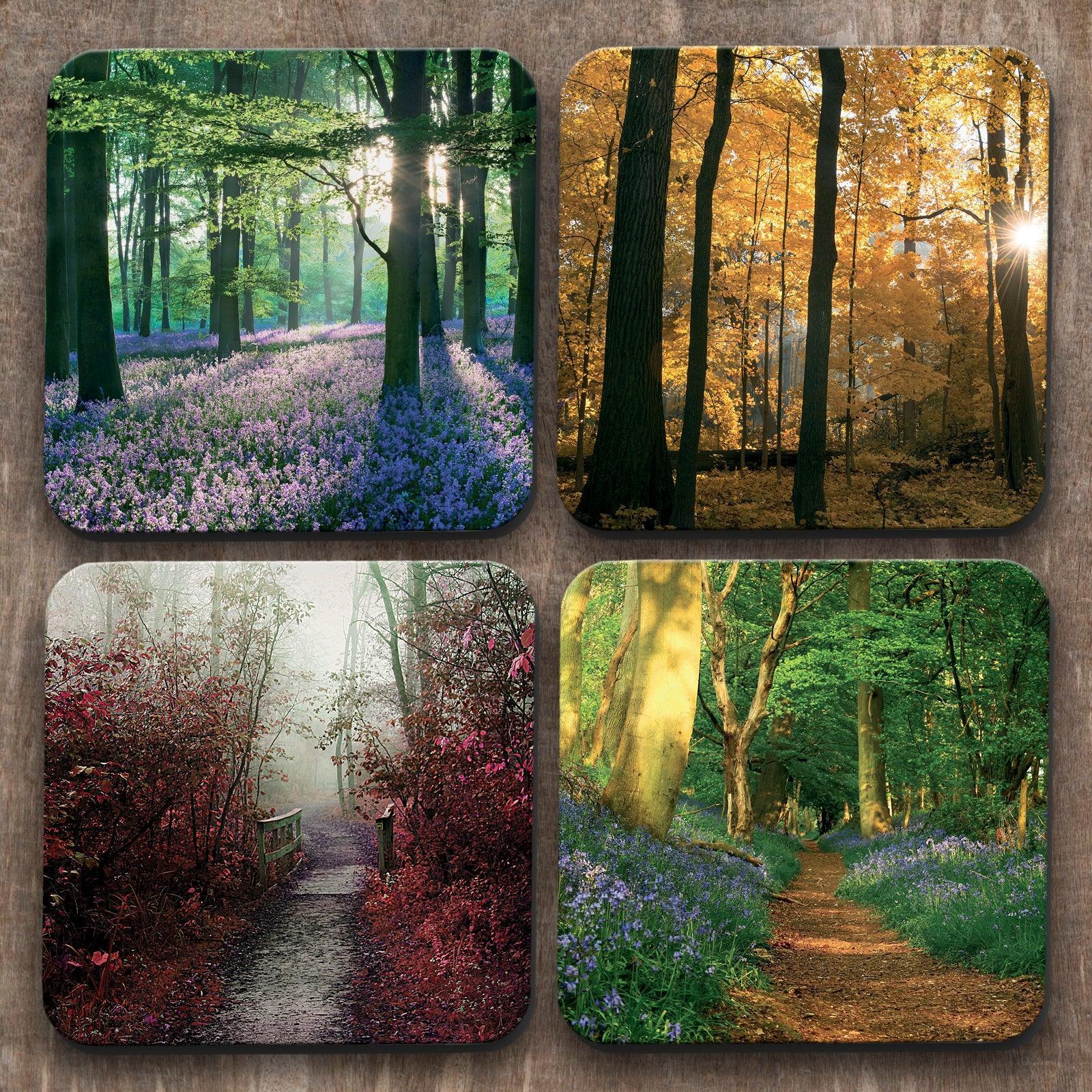 Forests  x 4 Coasters C0027 Cushioned Lap Trays by Yoosh