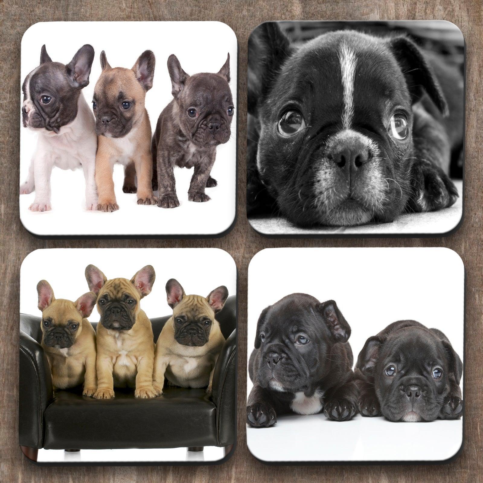 French 'Frenchie' Bulldog x 4 Coasters C0010 Cushioned Lap Trays by Yoosh