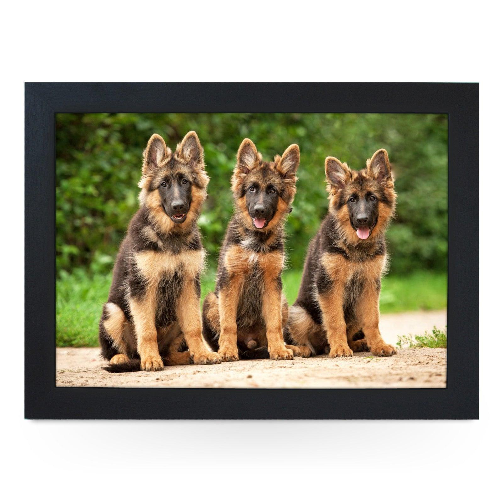 German Shepherd Puppies Lap Tray - L0580 Personalised Lap Trays