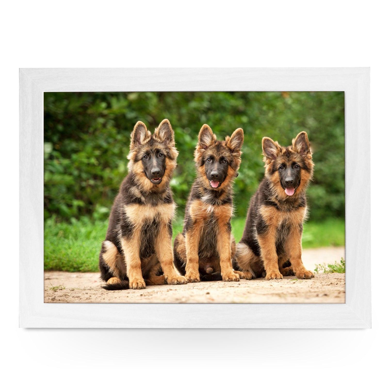 German Shepherd Puppies Lap Tray - L0580 Personalised Lap Trays