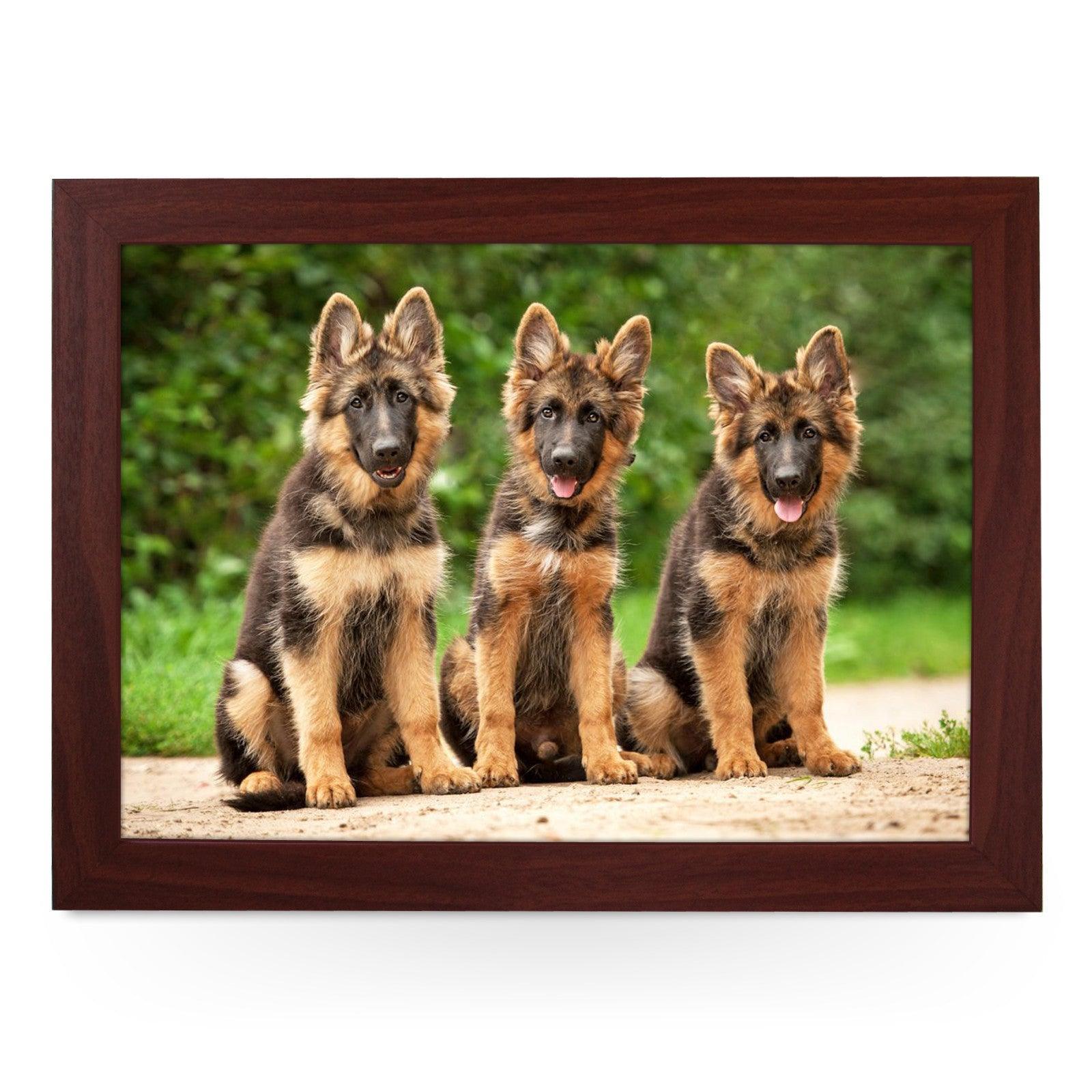 German Shepherd Puppies Lap Tray - L0580 Personalised Lap Trays
