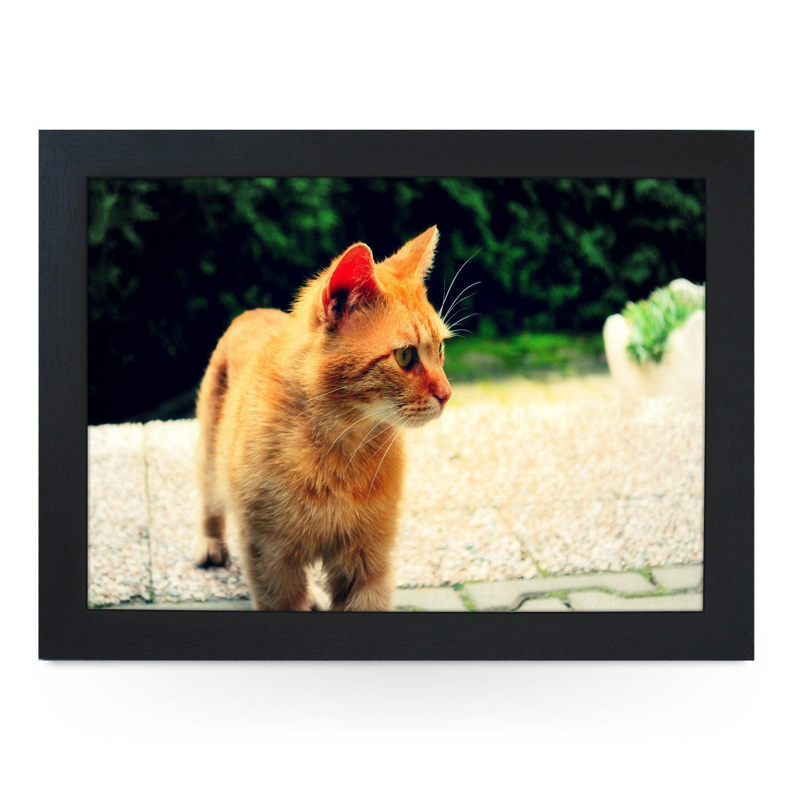Ginger Cat Lap Tray - L0028 Personalised Lap Trays