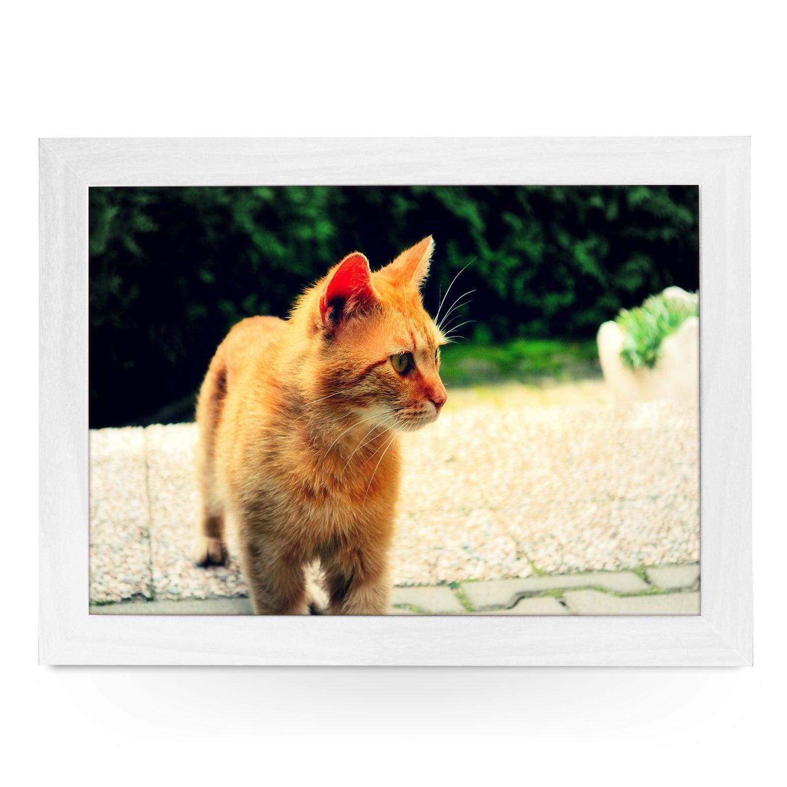Ginger Cat Lap Tray - L0028 Personalised Lap Trays