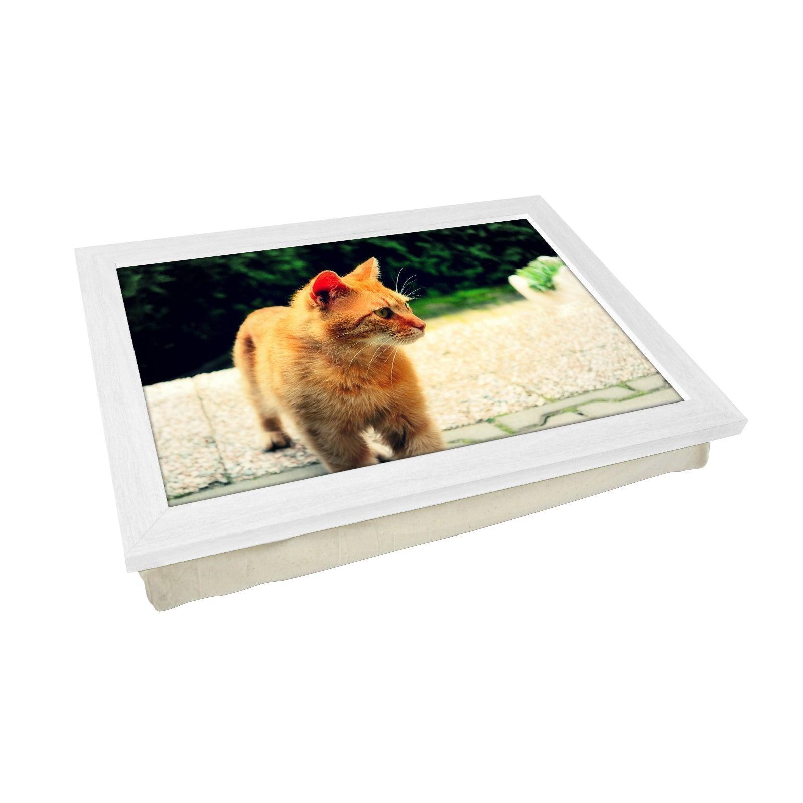Ginger Cat Lap Tray - L0028 Personalised Lap Trays