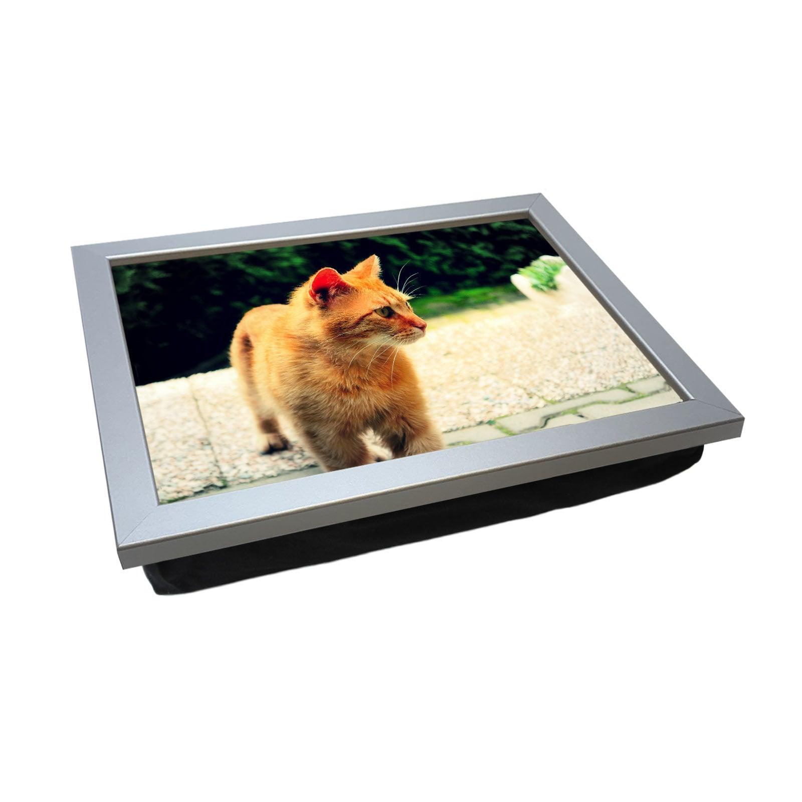 Ginger Cat Lap Tray - L028 - Yoosh