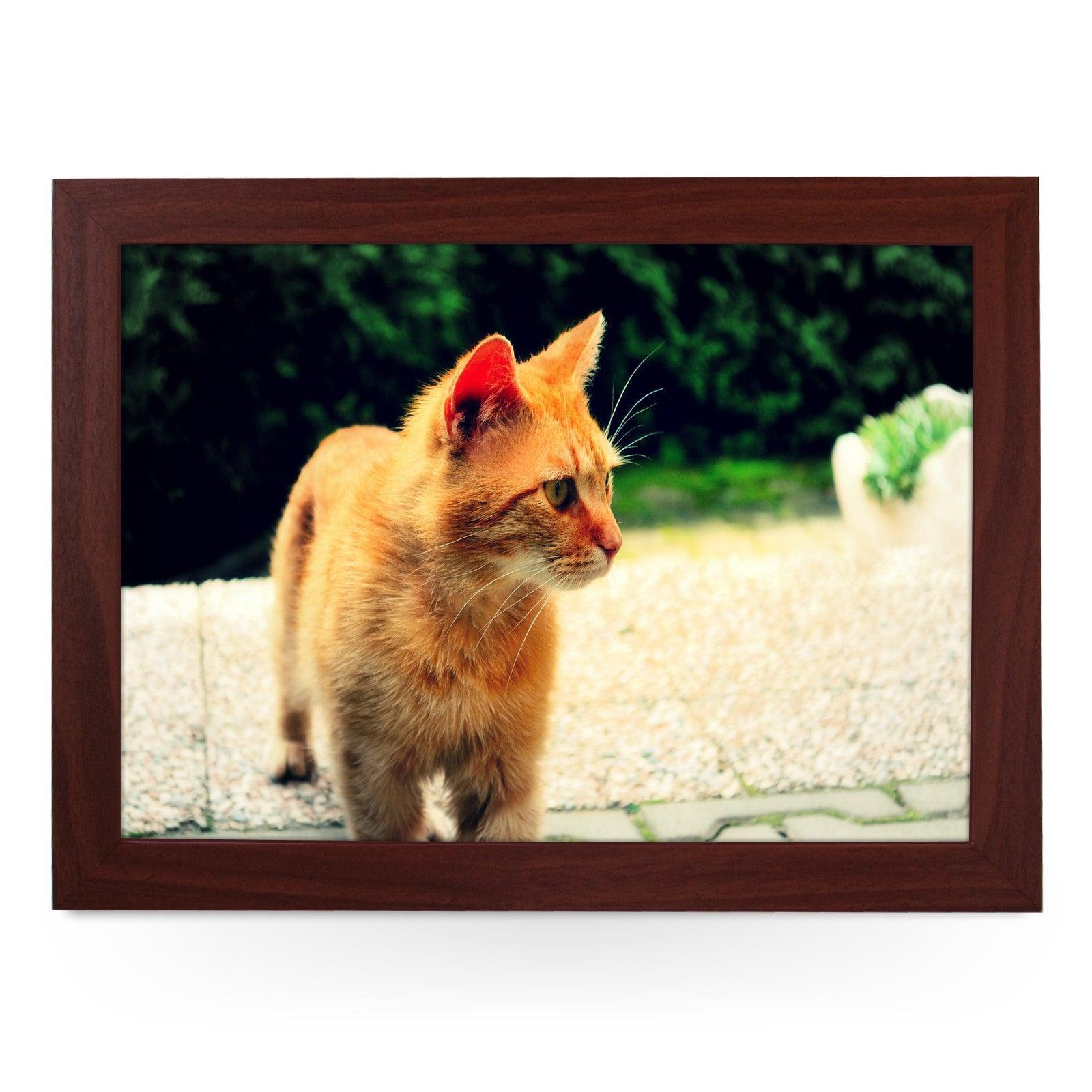 Ginger Cat Lap Tray - L0028 Personalised Lap Trays