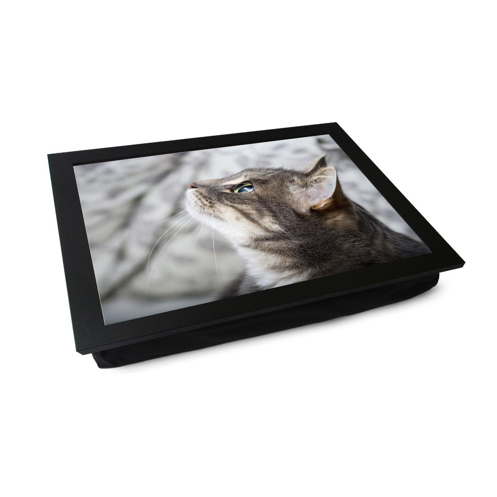 Grey Cat Looking Up  Lap Tray - L0177 Personalised Lap Trays