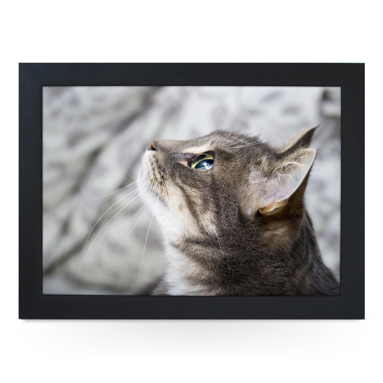 Grey Cat Looking Up  Lap Tray - L0177 Personalised Lap Trays