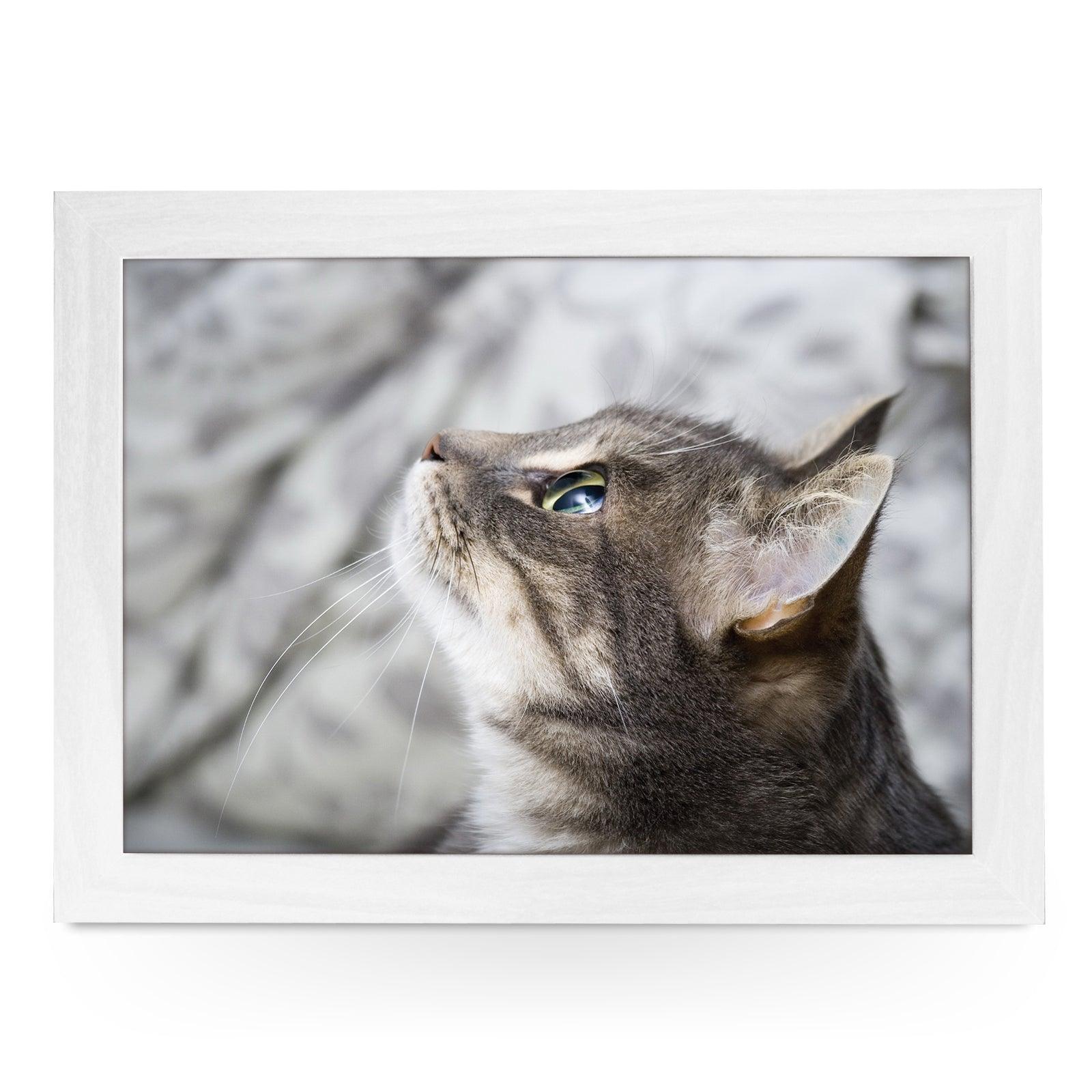 Grey Cat Looking Up  Lap Tray - L0177 Personalised Lap Trays