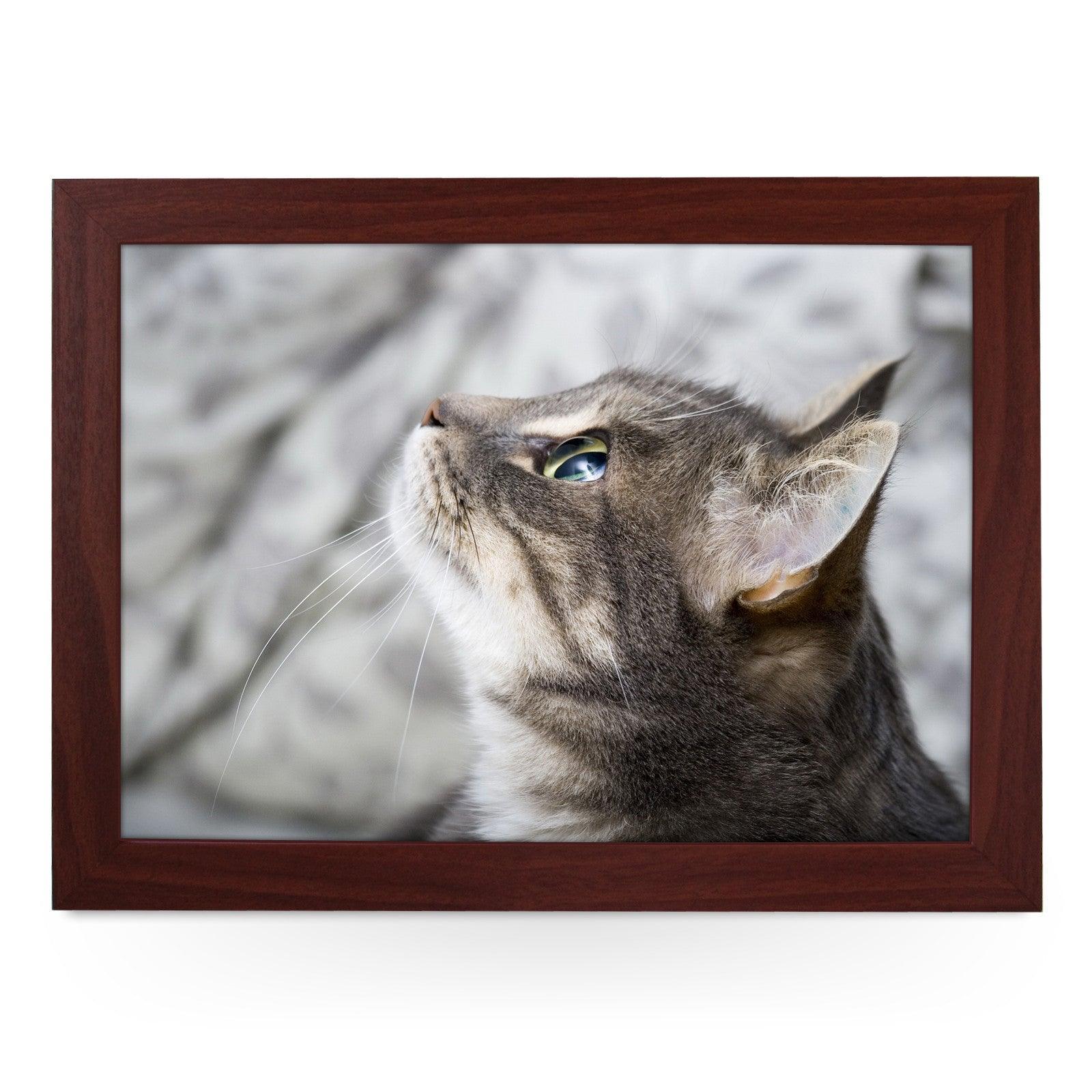 Grey Cat Looking Up  Lap Tray - L0177 Personalised Lap Trays