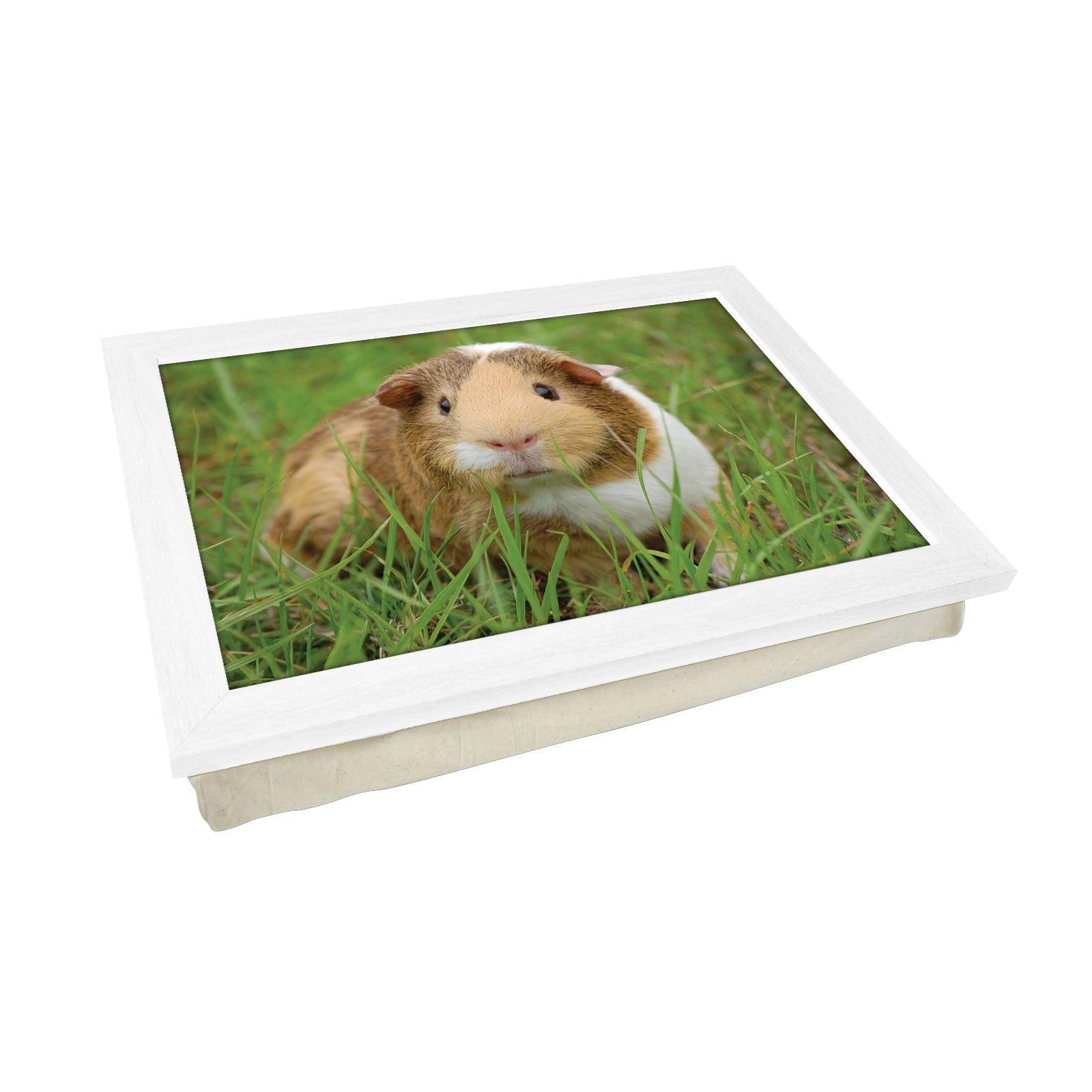 Guinea Pig In The Grass Lap Tray - L1196 - Cushioned Lap Trays by Yoosh