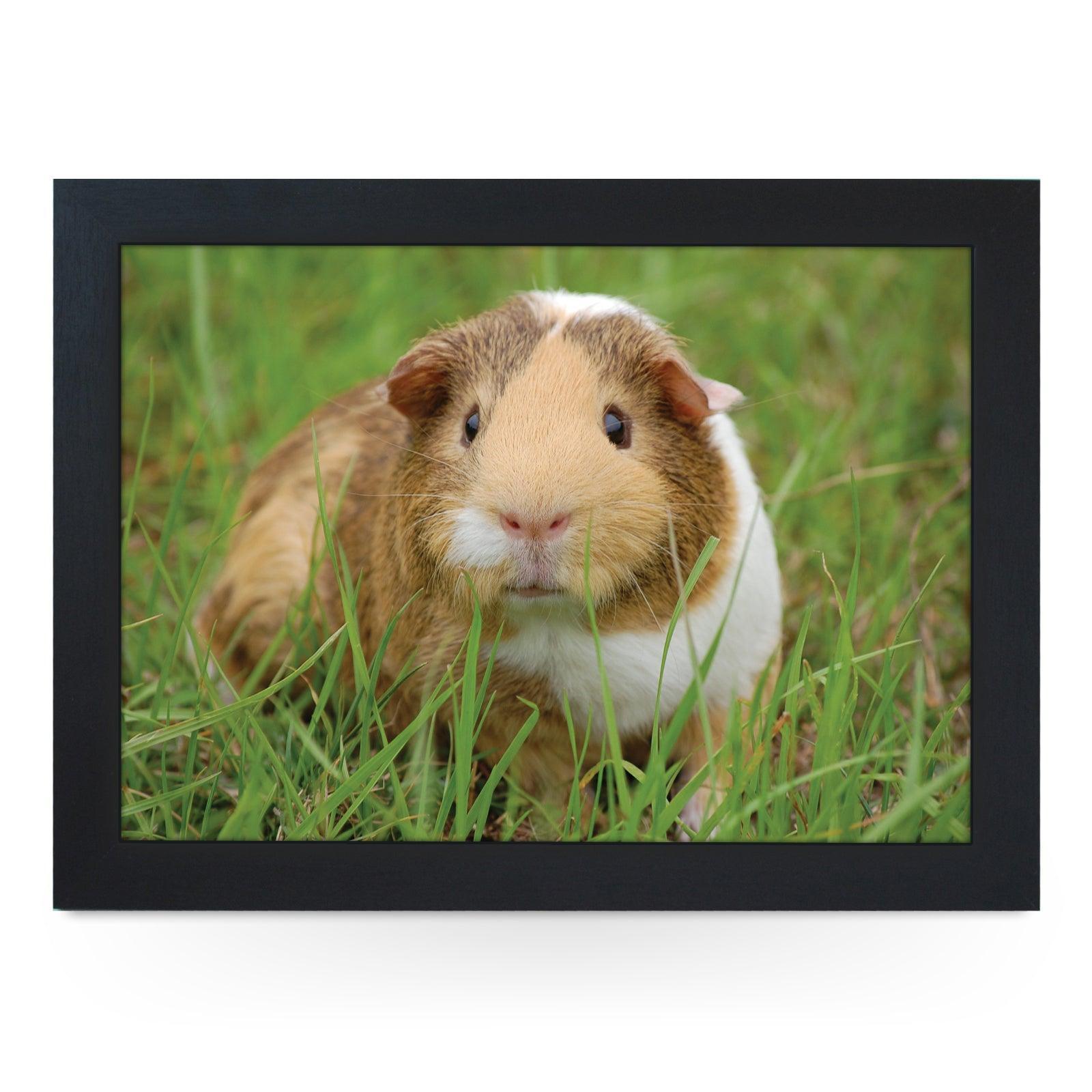 Guinea Pig In The Grass Lap Tray - L1196 - Cushioned Lap Trays by Yoosh