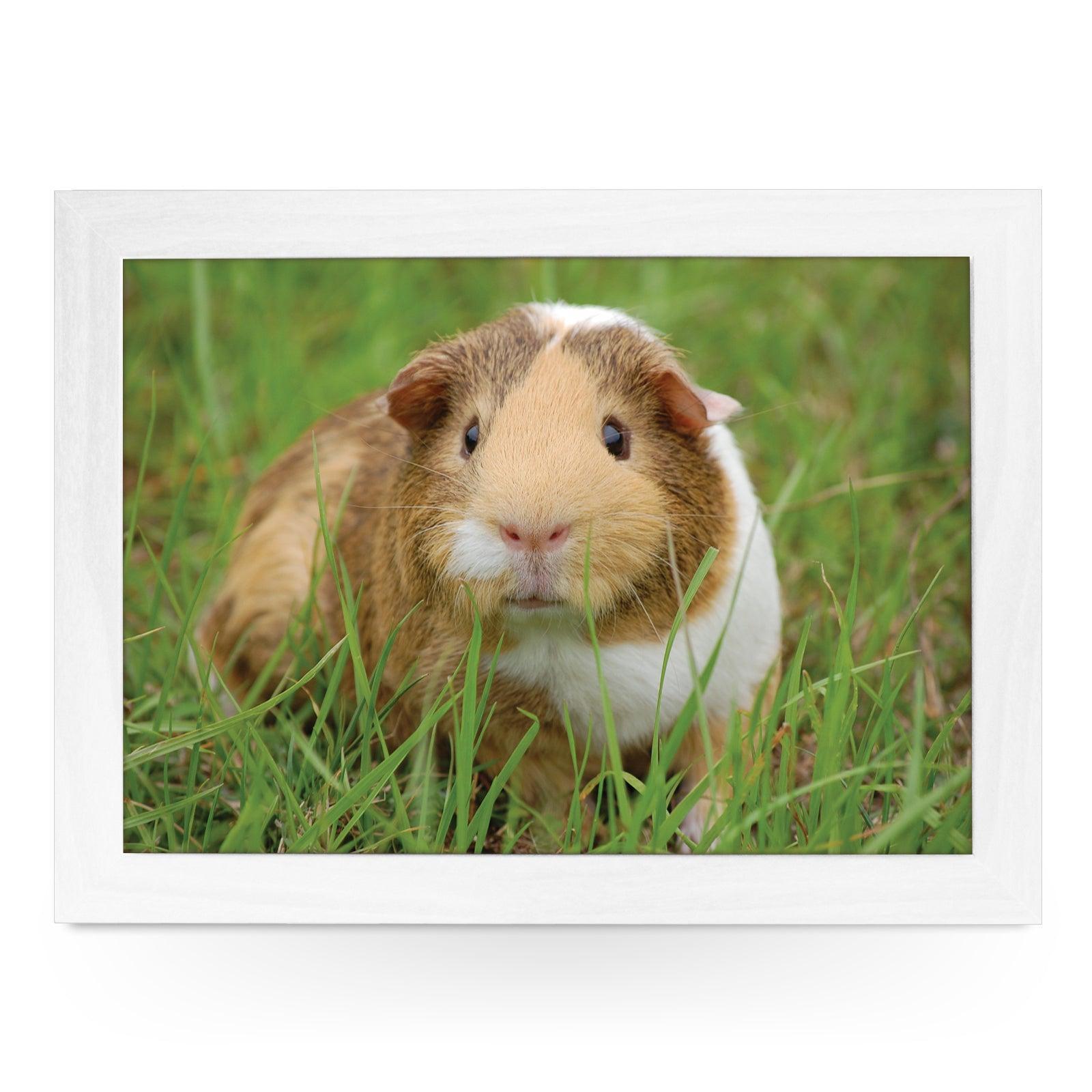 Guinea Pig In The Grass Lap Tray - L1196 - Cushioned Lap Trays by Yoosh