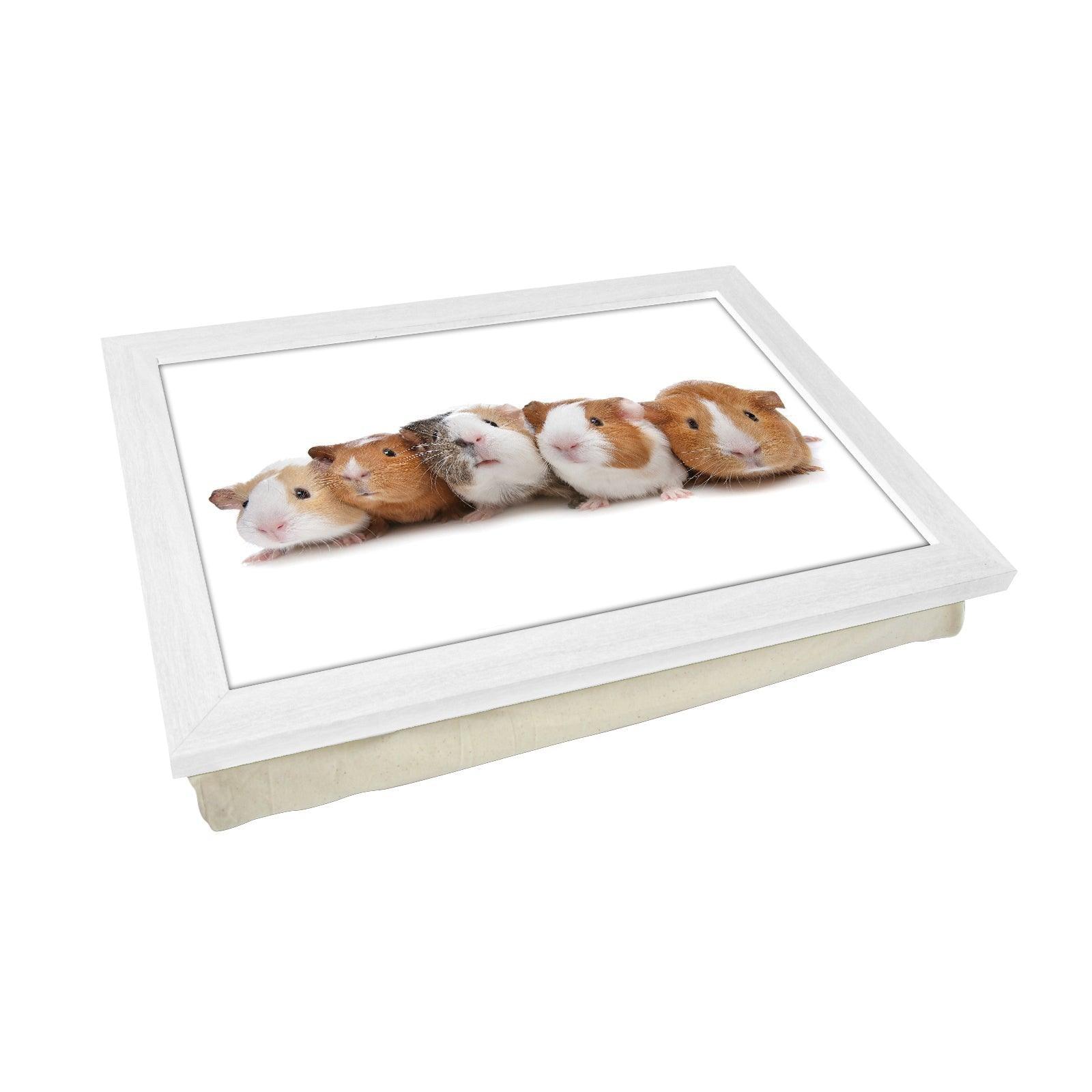 Guinea Pigs Lap Tray - L0141 Personalised Lap Trays