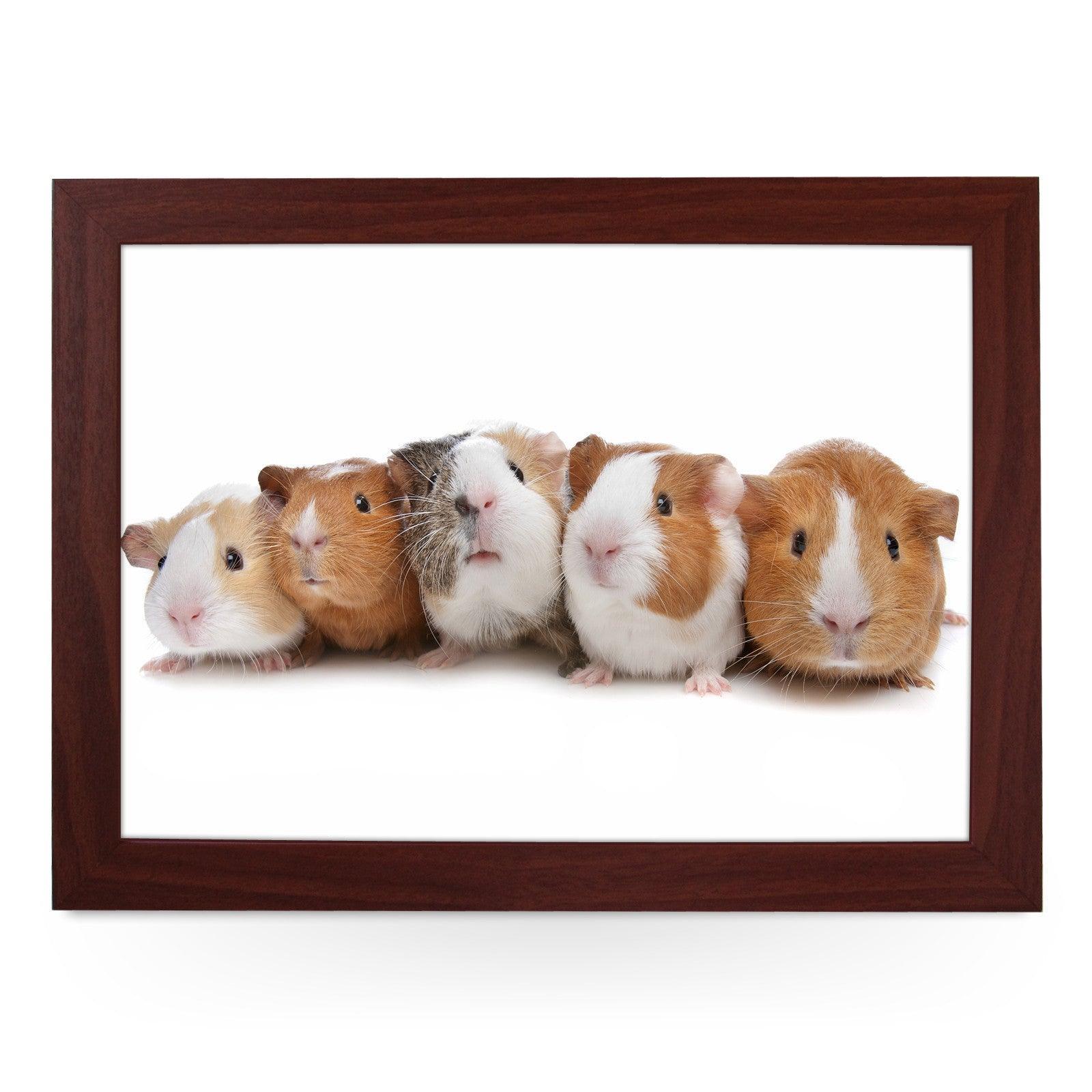 Guinea Pigs Lap Tray - L0141 Personalised Lap Trays