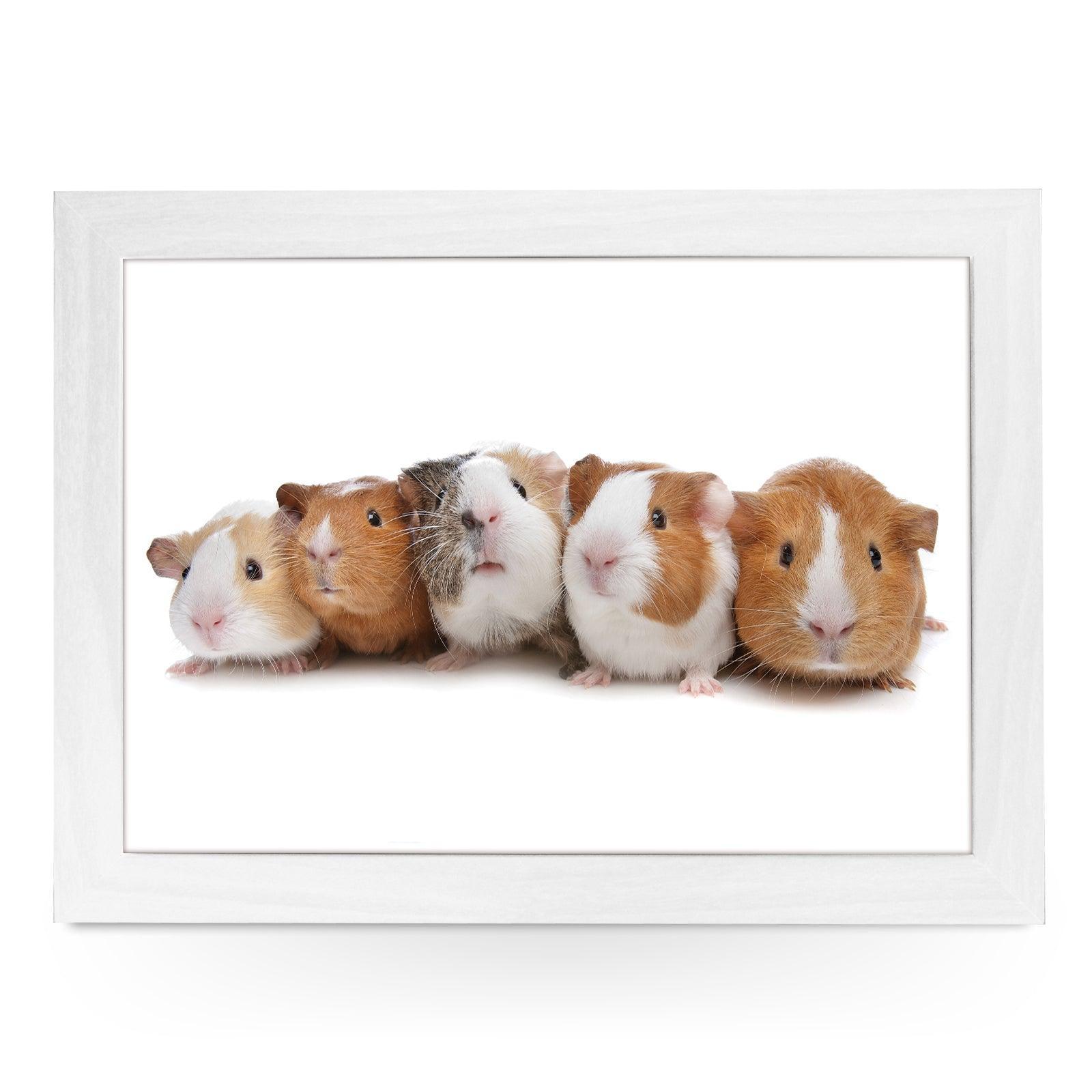 Guinea Pigs Lap Tray - L0141 Personalised Lap Trays